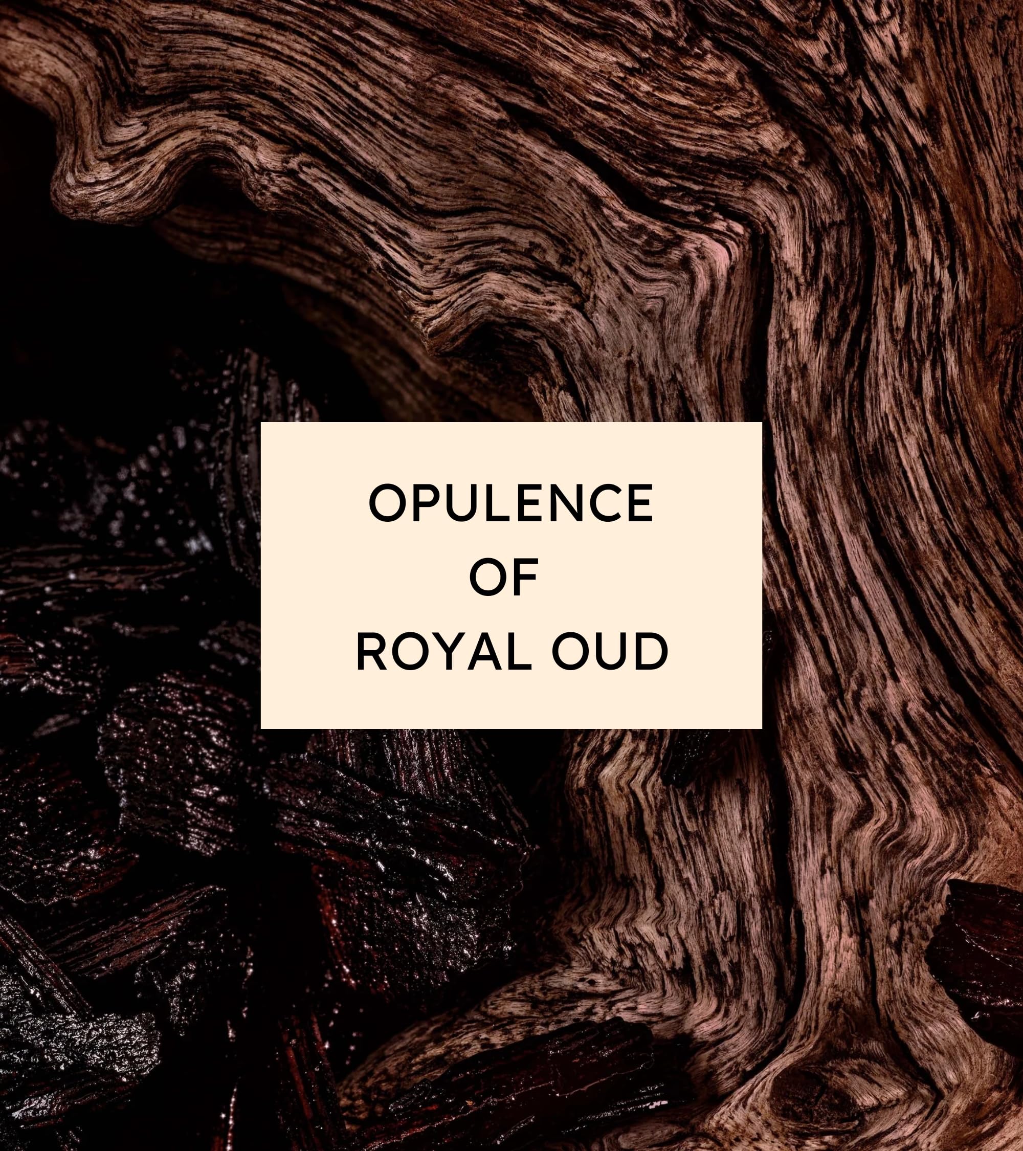 Eternia® Royal Oud Luxury Soap Bar – Gentle, Hydrating & Refreshing Daily Face & Body Care