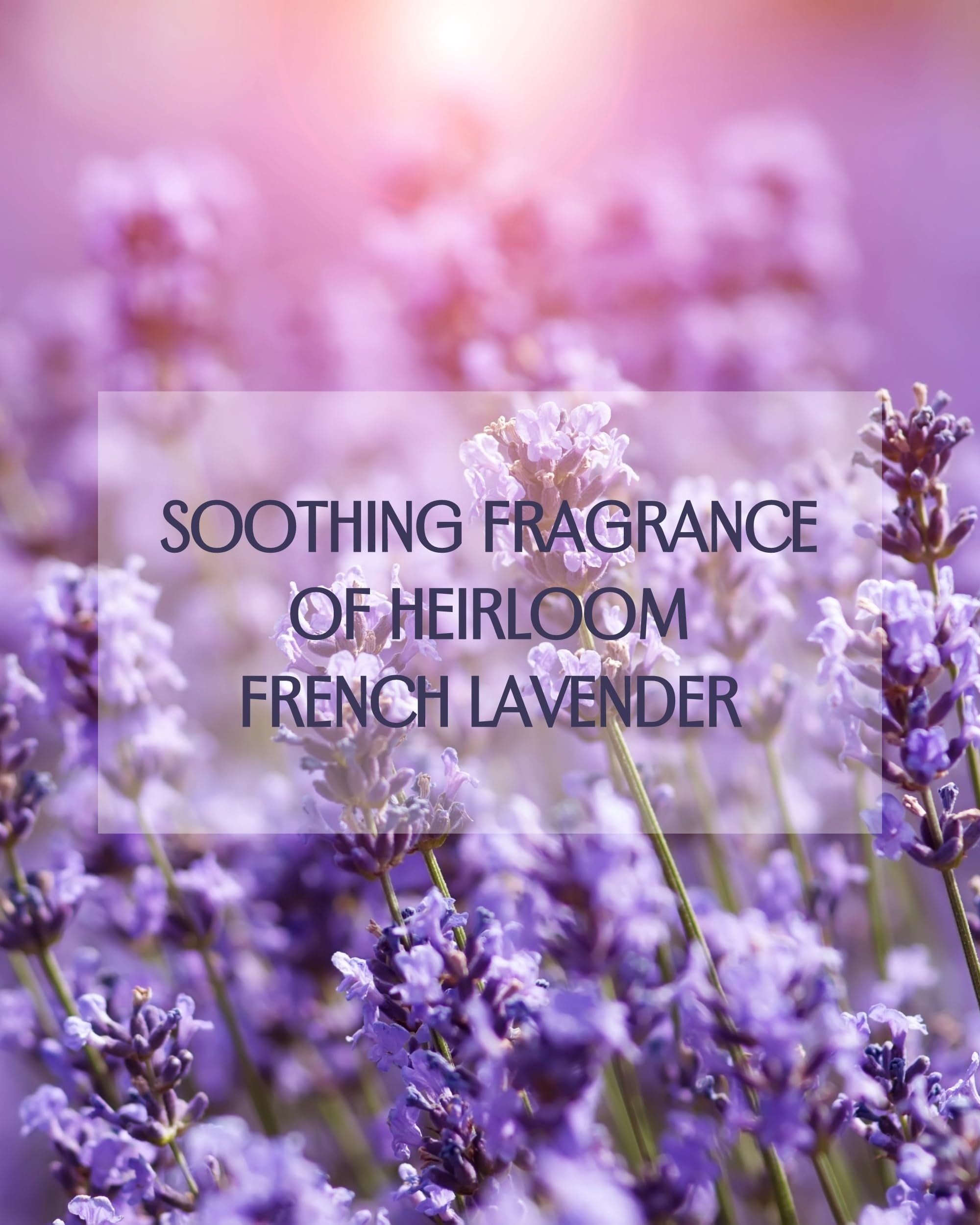 Eternia® French Lavender Sulphate-Free Handwash - Premium Cruelty-Free Liquid Soap - Luxurious Foam & Thick Honey-Like Consistency - 500ml