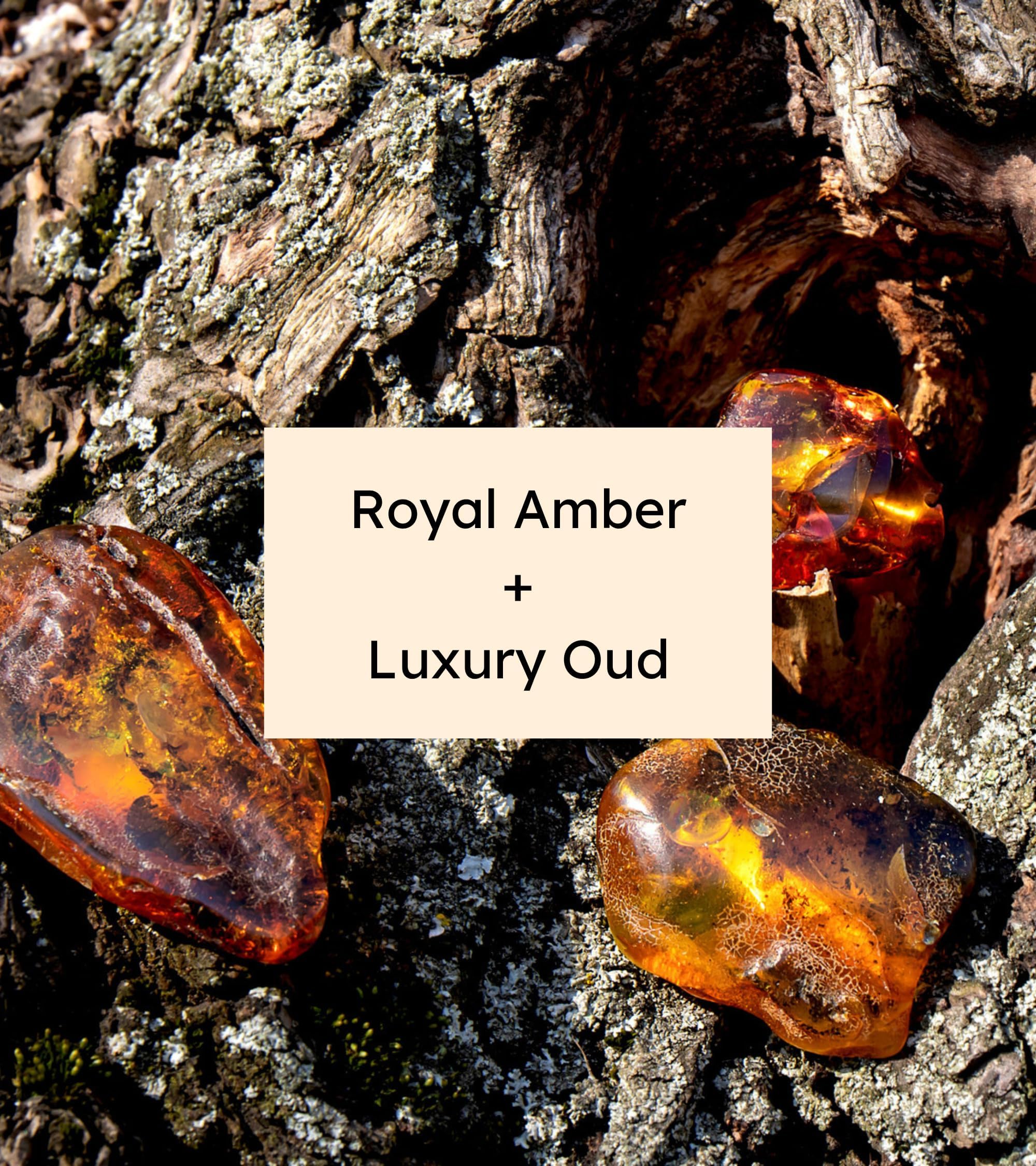 Eternia® Royal Amber Oud Luxury Soap Bar – Gentle, Hydrating & Refreshing Daily Face & Body Care