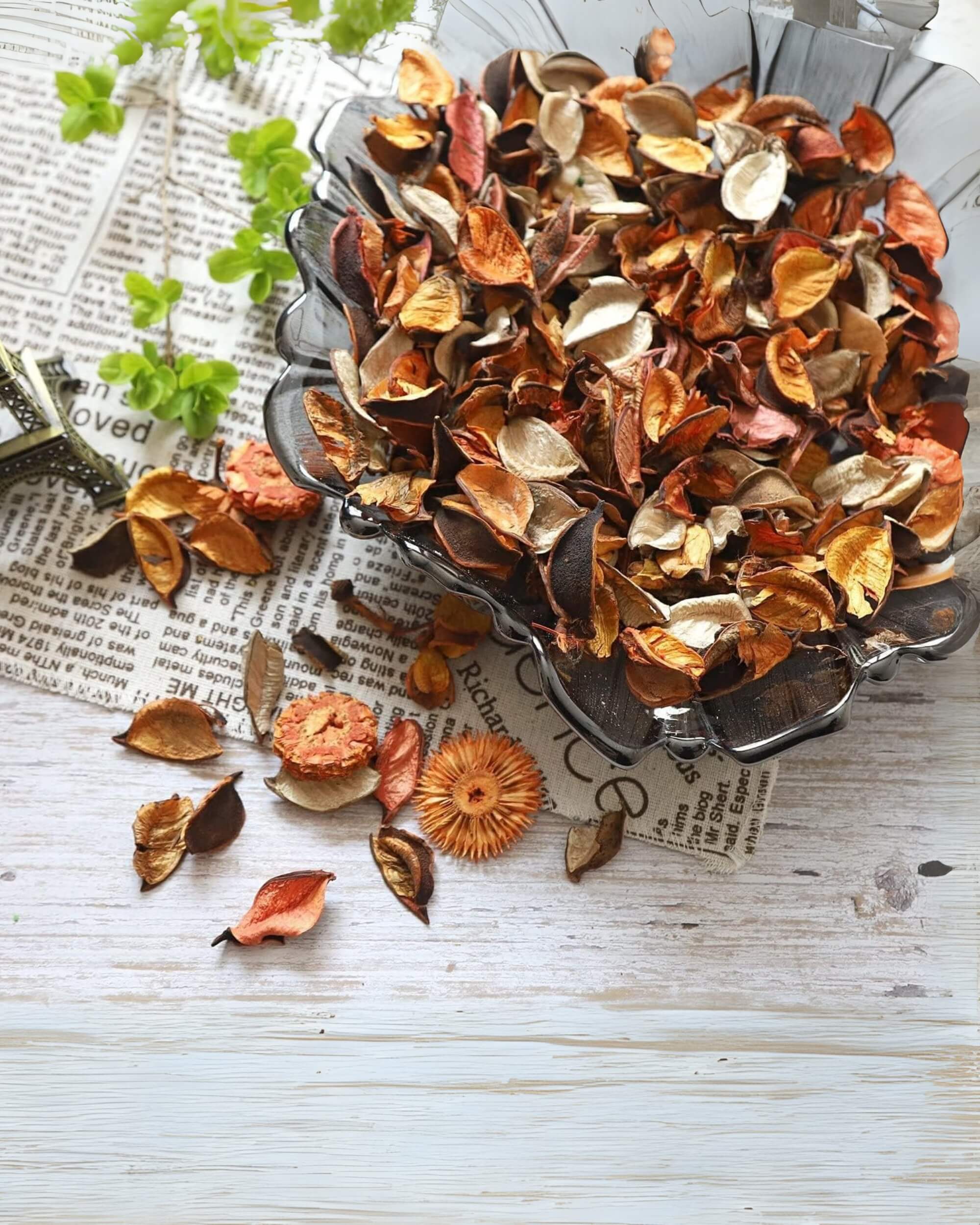 Eternia® Potpourri with Petals for Home Fragrance – Dried Flowers for Office, Bathroom & Spa Décor – Long-Lasting Room Air Freshener & Vase Filler - 100 gm