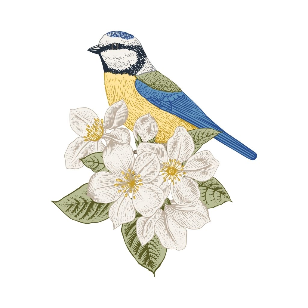 Jasmine