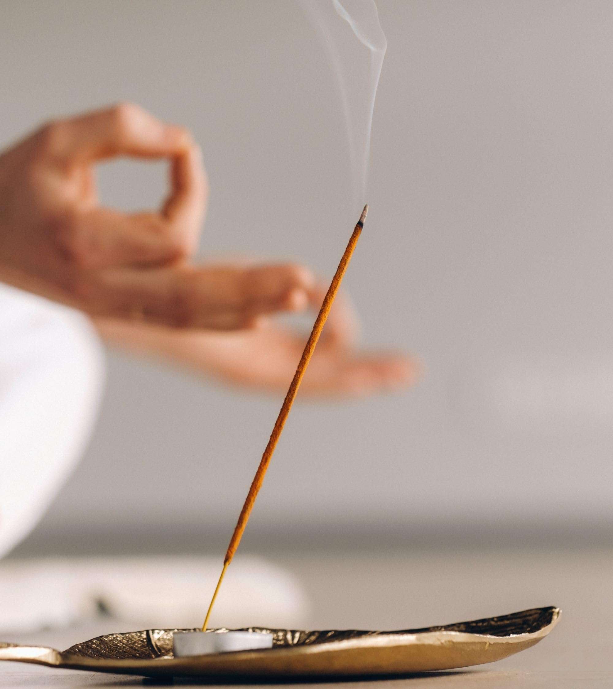 Eternia® Rajnigandha Oudh Scent of Burning Incense Sticks Different Fragrances for Aromatic Environment - Agarbatti- (Pack of-3)