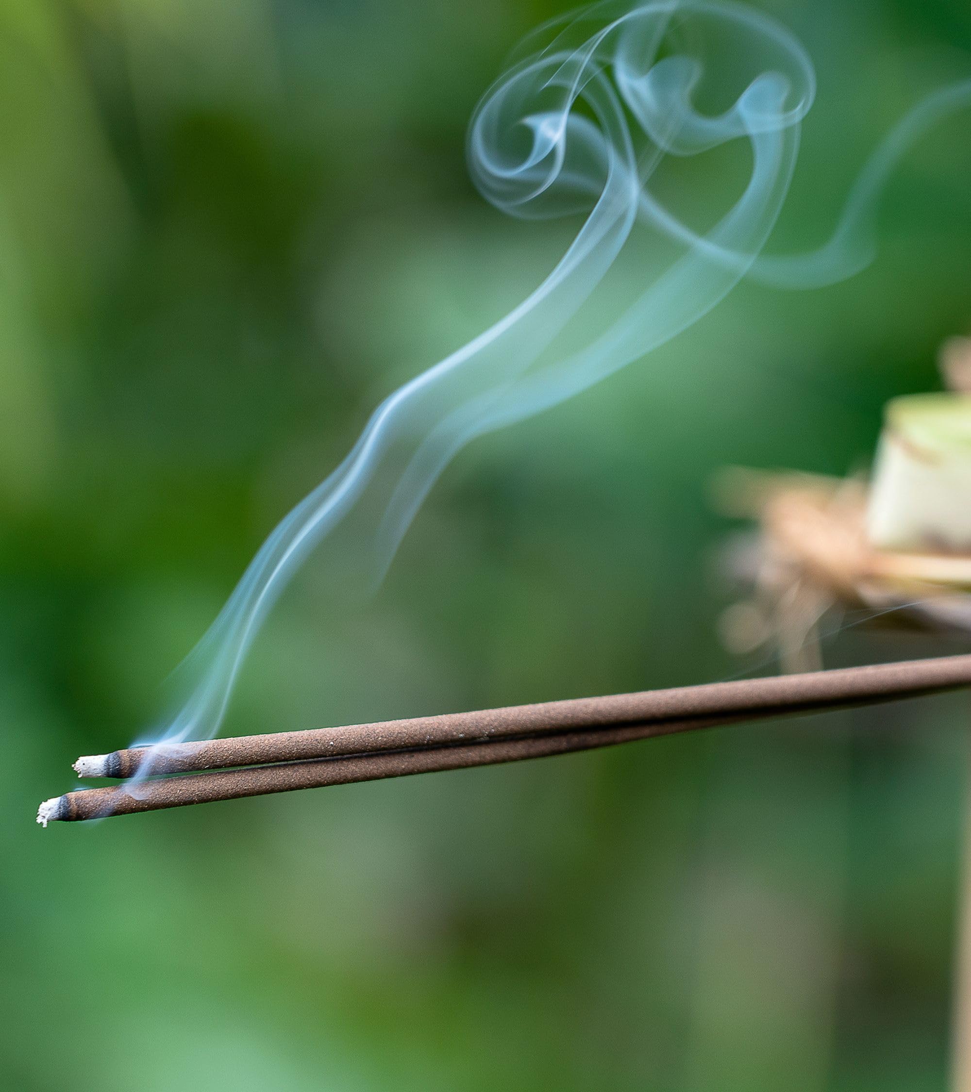 Eternia® Rajnigandha Oudh Scent of Burning Incense Sticks Different Fragrances for Aromatic Environment - Agarbatti- (Pack of-3)