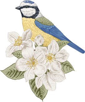 Jasmine