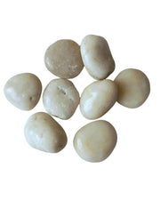 Premsons® Polished Decorative Pebbles - White Stones - For Aquariums Garden Plant Pots Vases Home Office Decor Fish Tank Art Craft - Smooth & Round River Rocks - X-Large Size 2.5-4 cm - 1.5kg Pack
