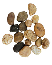 Premsons® Decorative Pebbles Multicolour Stones - For Aquariums Garden Lawn Plant Pots Vases Filler Home Office Decor Fish Tank Art Craft - Smooth Stones - Large Size 2.5-4 cm - 1kg Pack