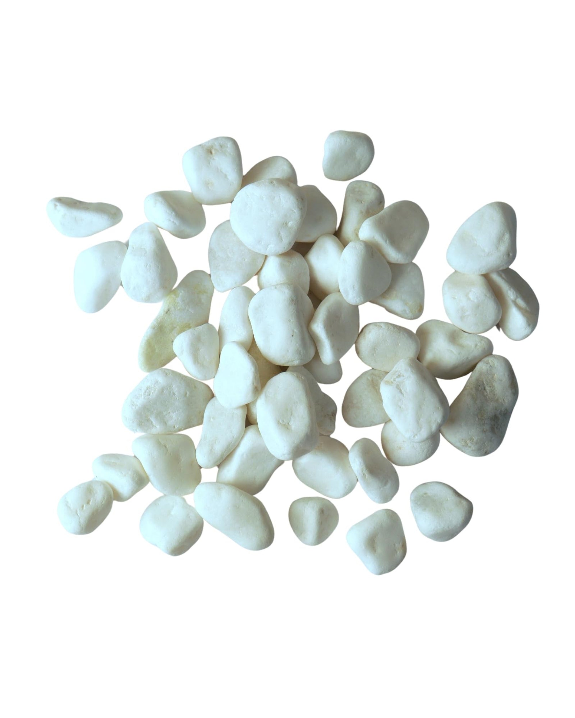 Premsons® Polished Decorative Pebbles - White Stones - For Aquariums Garden Plant Pots Vases Home Office Decor Fish Tank Art Craft - Smooth & Round River Rocks - Medium Size 2.5-4 cm - 1.5kg Pack