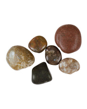 Premsons® Polished Decorative Pebbles - MultiColor Stones - For Aquariums Garden Lawn Plant Pots Vases Filler Home Decor Fish Tank - Smooth & Round River Rocks - X-Large Size 2.5-4 cm -1.5 kg Pack