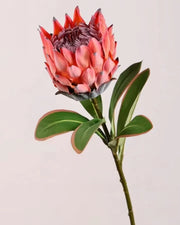 Premsons® High-Quality Faux Protea Flower Stem – Real Touch Artificial Floral Bunch for Vases, Home Decor & Centerpieces - Pink