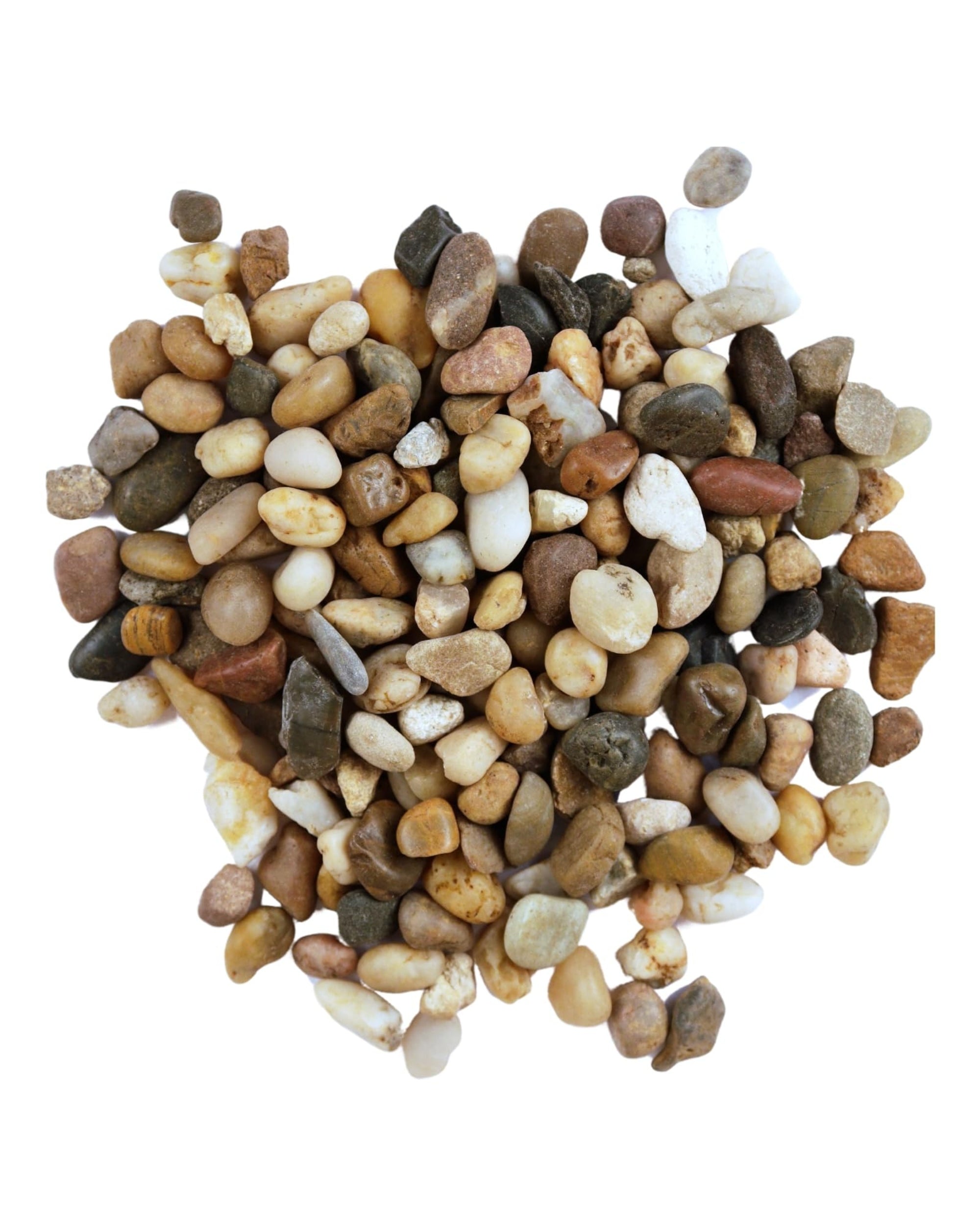 Premsons® Rough Decorative Pebbles - Multicolor Stones - For Aquariums Garden Lawn Plant Pots Vases Filler Home Office Decor Fish Tank - Smooth & Round River Rocks - Small Size 2.5-4 cm - 1kg Pack