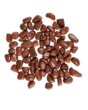 Premsons® Glossy Decorative Pebbles - Dark Brown Stones - For Aquariums Garden Lawn Plant Pots Vases Filler Home Office Decor Fish Tank - Smooth & Round River Rocks - Large Size 2.5-4 cm -1kg Pack