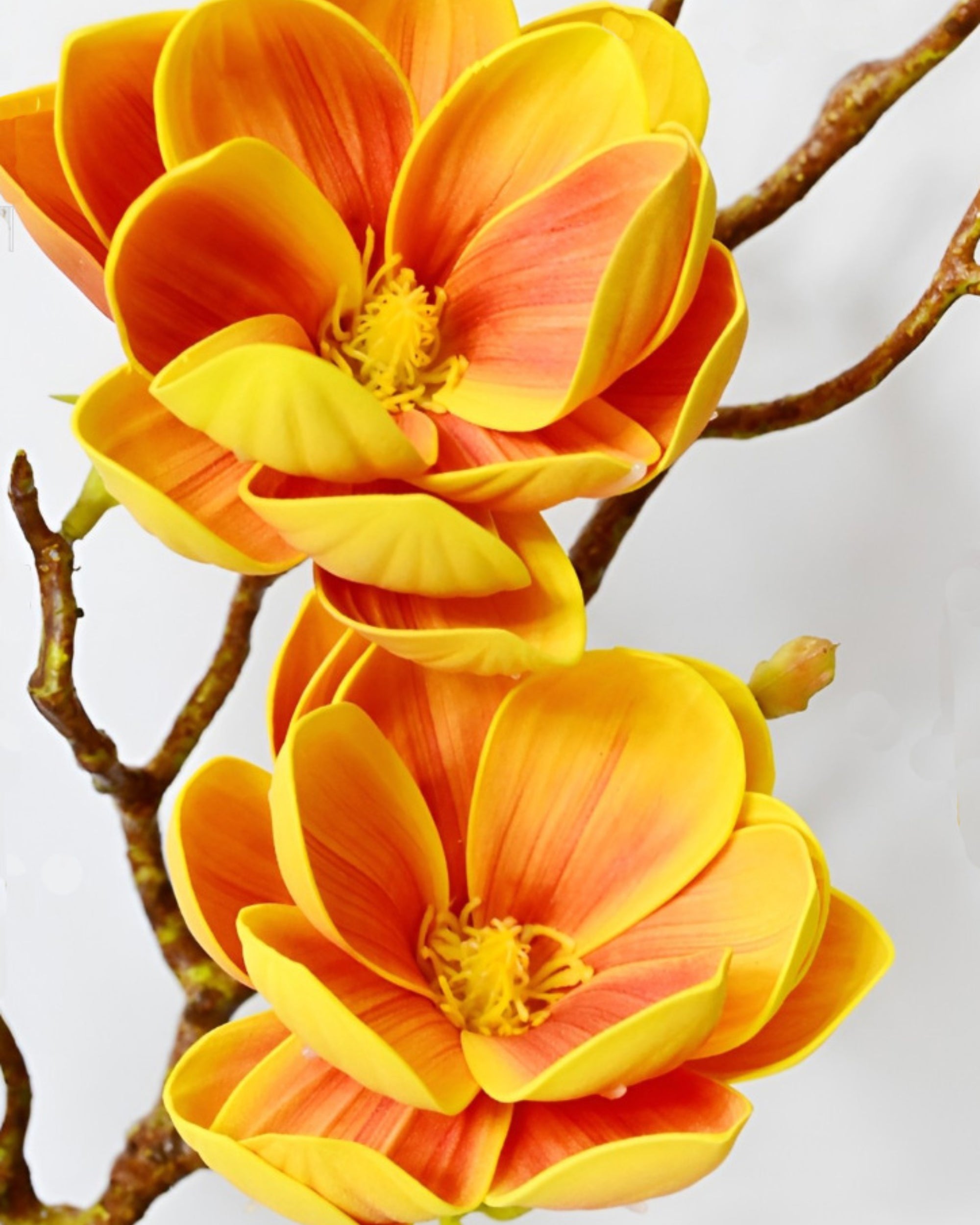 Premsons® Elegant Artificial Magnolia Flower – 1 Stem of Realistic Silk Bloom for Home Décor, Office, or Events | Long-Lasting Faux Floral Arrangement