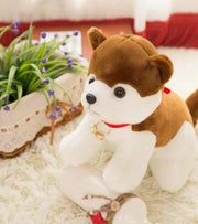 Premsons® Cute Husky Dog Soft Plush Toy – Stuffed Animal with Bell Collar | Adorable Cuddly Pet for Kids & Toddlers