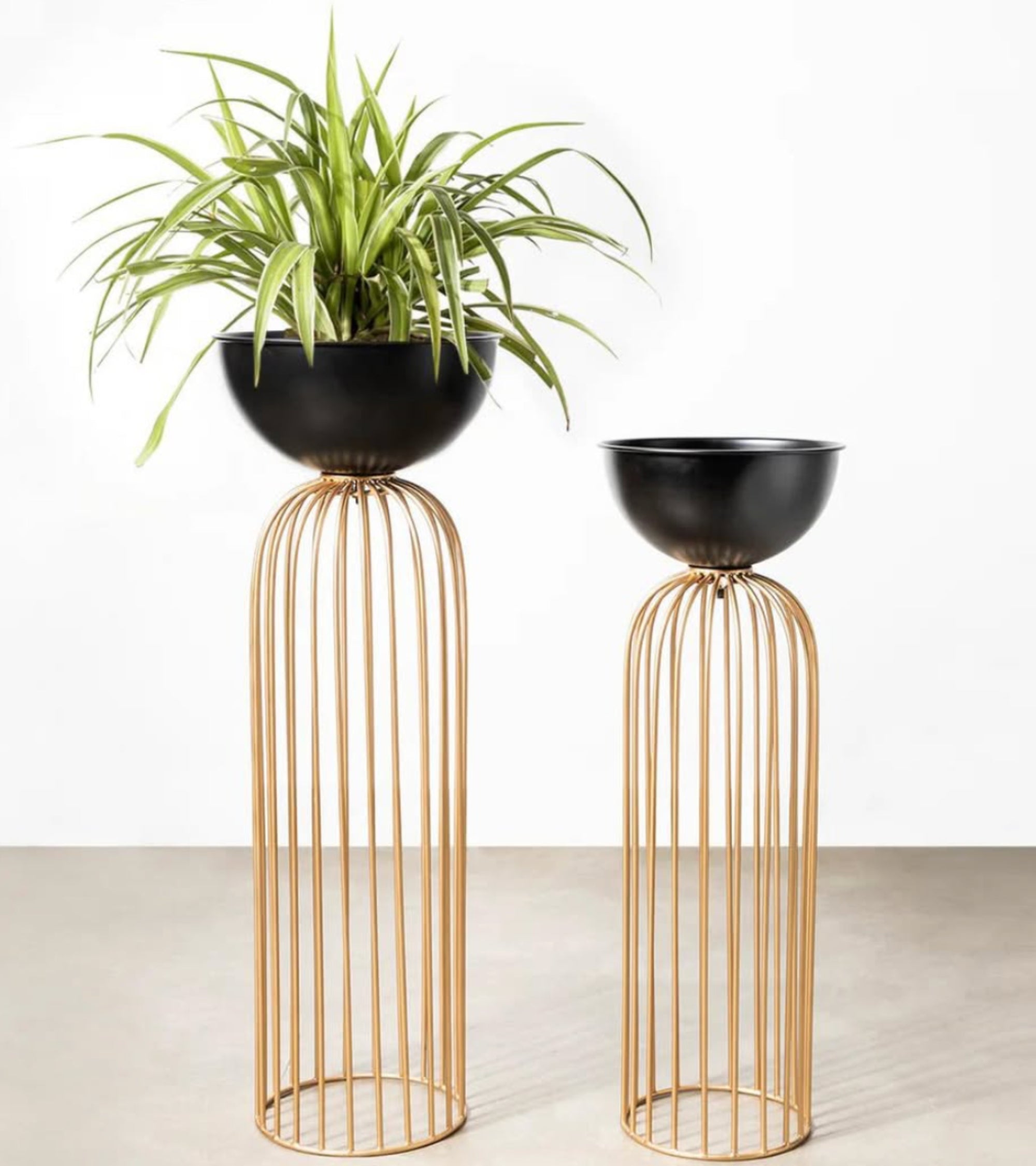 Premsons® Modern Metal Planter Stand Set – Black Pots with Tall Gold Stands for Indoor Décor (Set of 2 – 32 cm & 34 cm, Without Plant) – Decorative Plant Holders