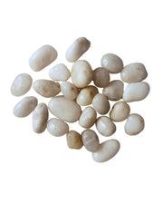 Premsons® Polished Decorative Pebbles - White Stones - For Aquariums Garden Lawn Plant Pots Vases Filler Home Office Decor Fish Tank - Smooth & Round River Rocks - Medium Size 2.5-4 cm -1kg Pack
