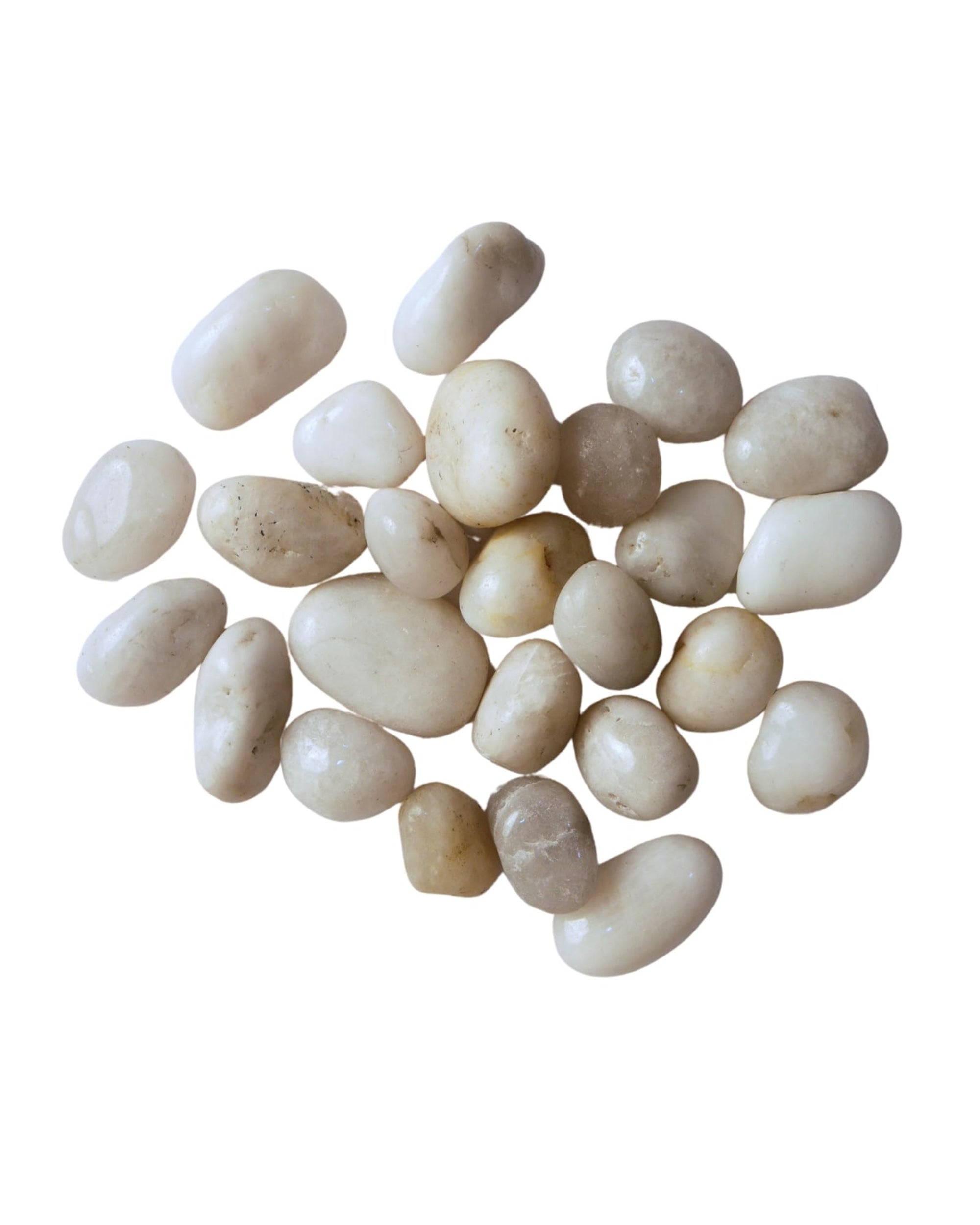 Premsons® Polished Decorative Pebbles - White Stones - For Aquariums Garden Lawn Plant Pots Vases Filler Home Office Decor Fish Tank - Smooth & Round River Rocks - Medium Size 2.5-4 cm -1kg Pack
