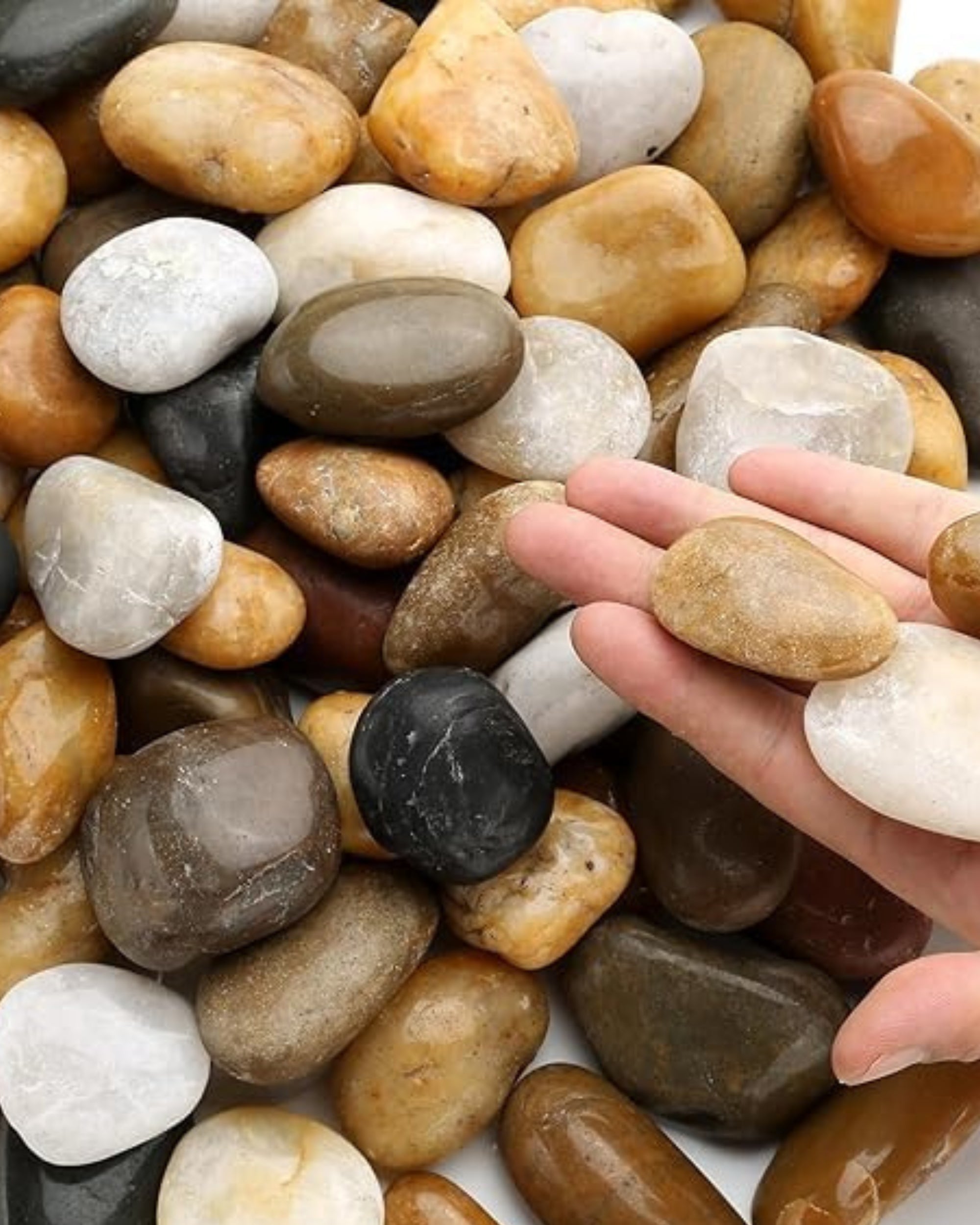 Premsons® Polished Decorative Pebbles - Beige Stones - For Aquariums Garden Lawn Plant Pots Vases Filler Home Office Decor Fish Tank - Smooth & Round River Rocks - Large Size 2.5-4 cm - 1.5 kg Pack