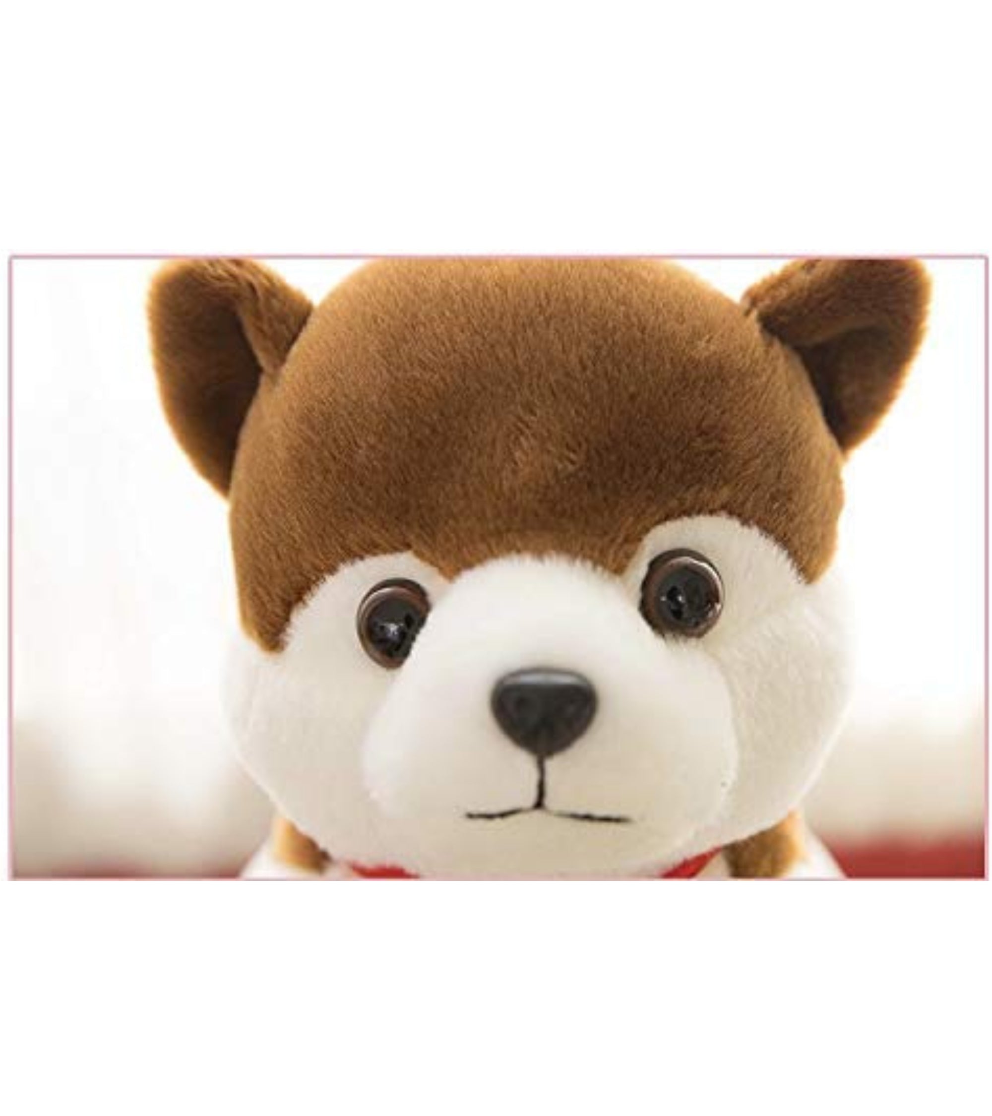 Premsons® Cute Husky Dog Soft Plush Toy – Stuffed Animal with Bell Collar | Adorable Cuddly Pet for Kids & Toddlers
