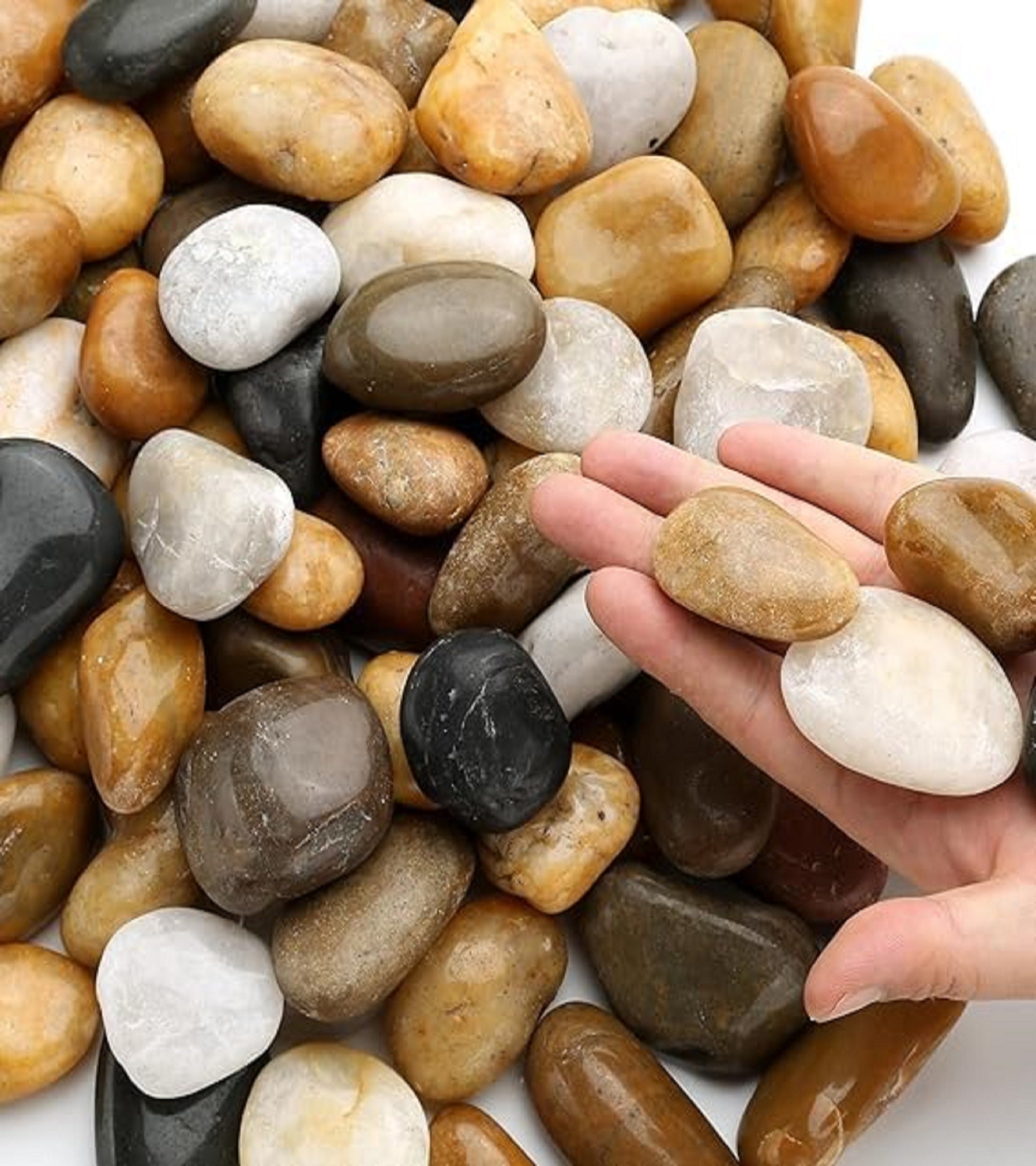 Premsons® Rough Decorative Pebbles - Biege Stones - For Aquariums Garden Lawn Plant Pots Vases Filler Home Office Decor Fish Tank - Smooth & Round River Rocks - Small Size 2.5-4 cm - 1kg Pack