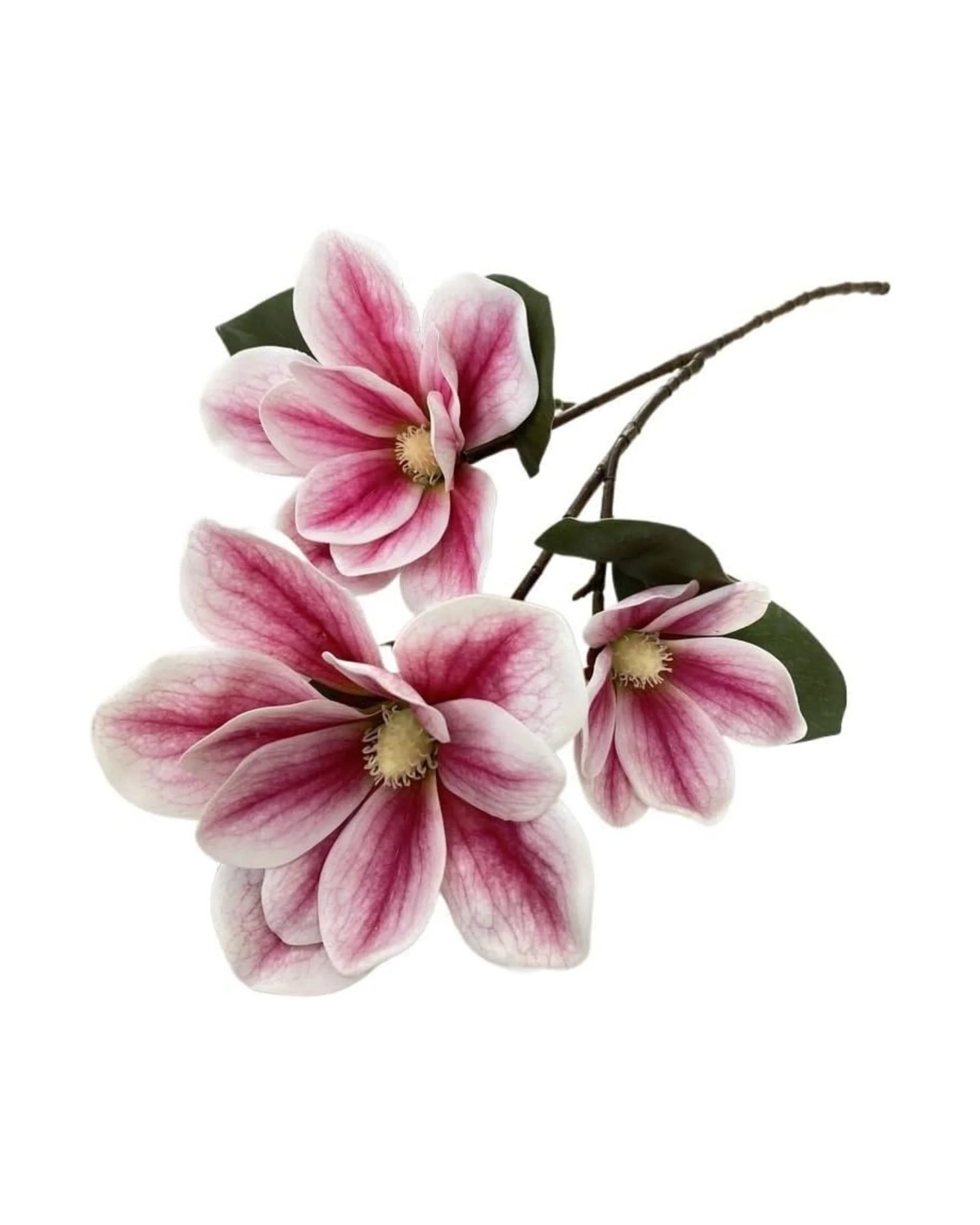 Premsons® Premium Magnolia Blossoms Flower Bunch – Elegant Artificial Blooms for Vases, Home Styling & Event Centerpieces - Dark Pink