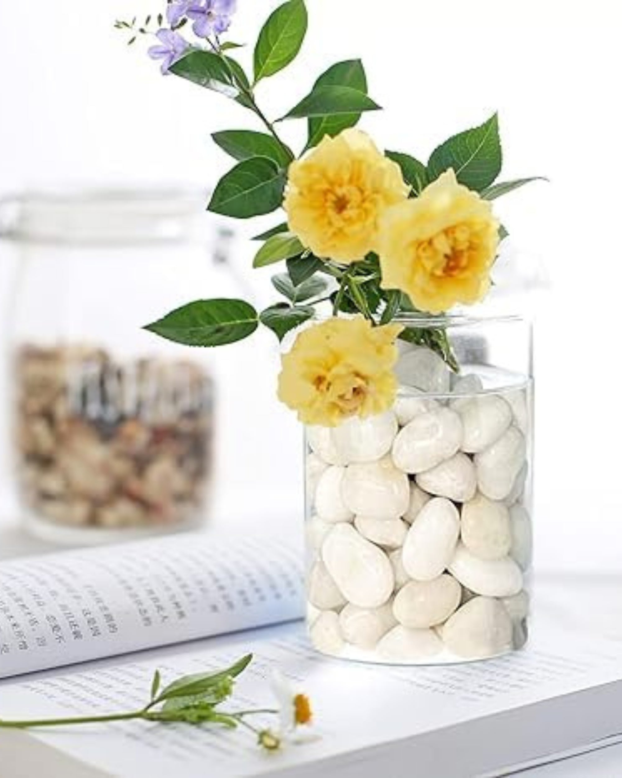 Premsons® Polished Decorative Pebbles - White Stones - For Aquariums Garden Plant Pots Vases Home Office Decor Fish Tank Art Craft - Smooth & Round River Rocks - X-Large Size 2.5-4 cm - 1.5kg Pack