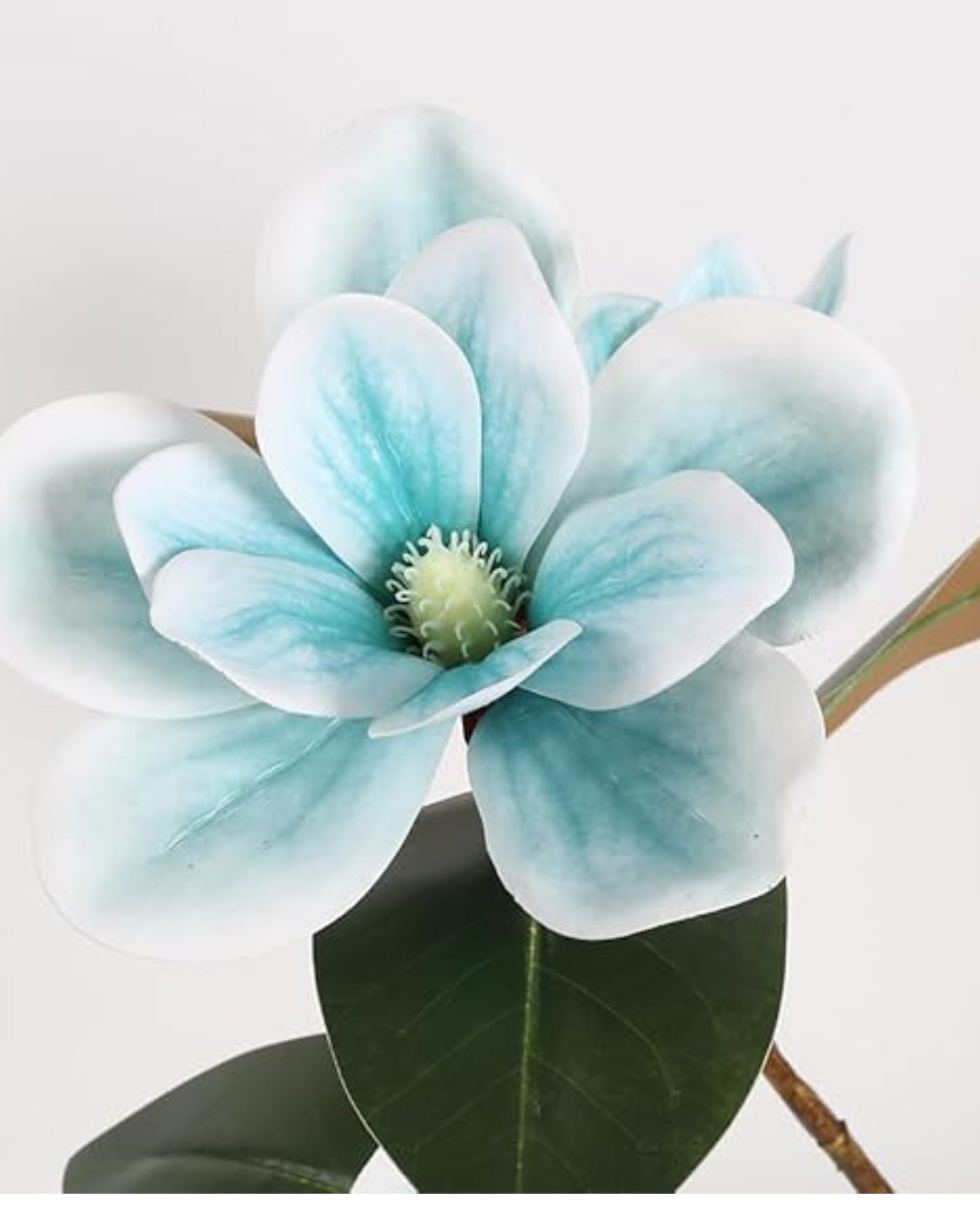Premsons® Elegant Artificial Magnolia Flower – 1 Stem of Realistic Silk Bloom for Home Décor, Office, or Events | Long-Lasting Faux Floral Arrangement