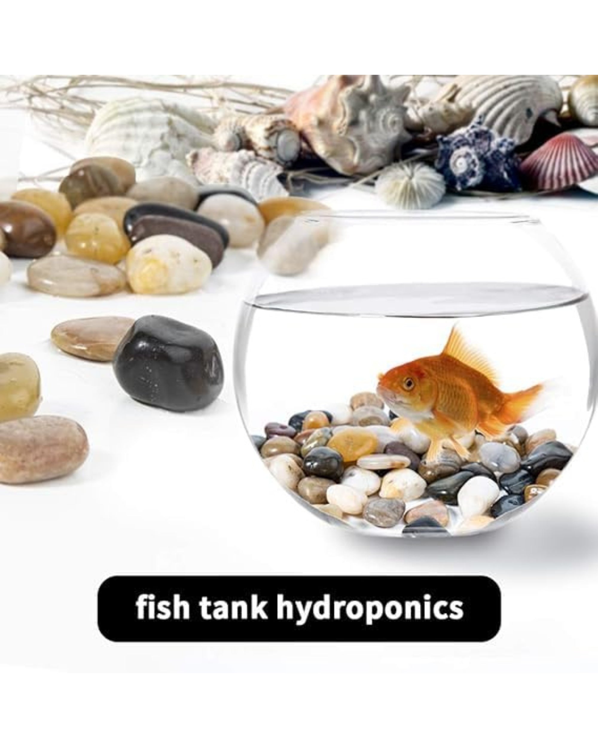 Premsons® Polished Decorative Pebbles - Biege Stones - For Aquariums Garden Lawn Plant Pots Vases Filler Home Office Decor Fish Tank - Smooth & Round River Rocks - Large Size 2.5-4 cm - 1.5 kg Pack