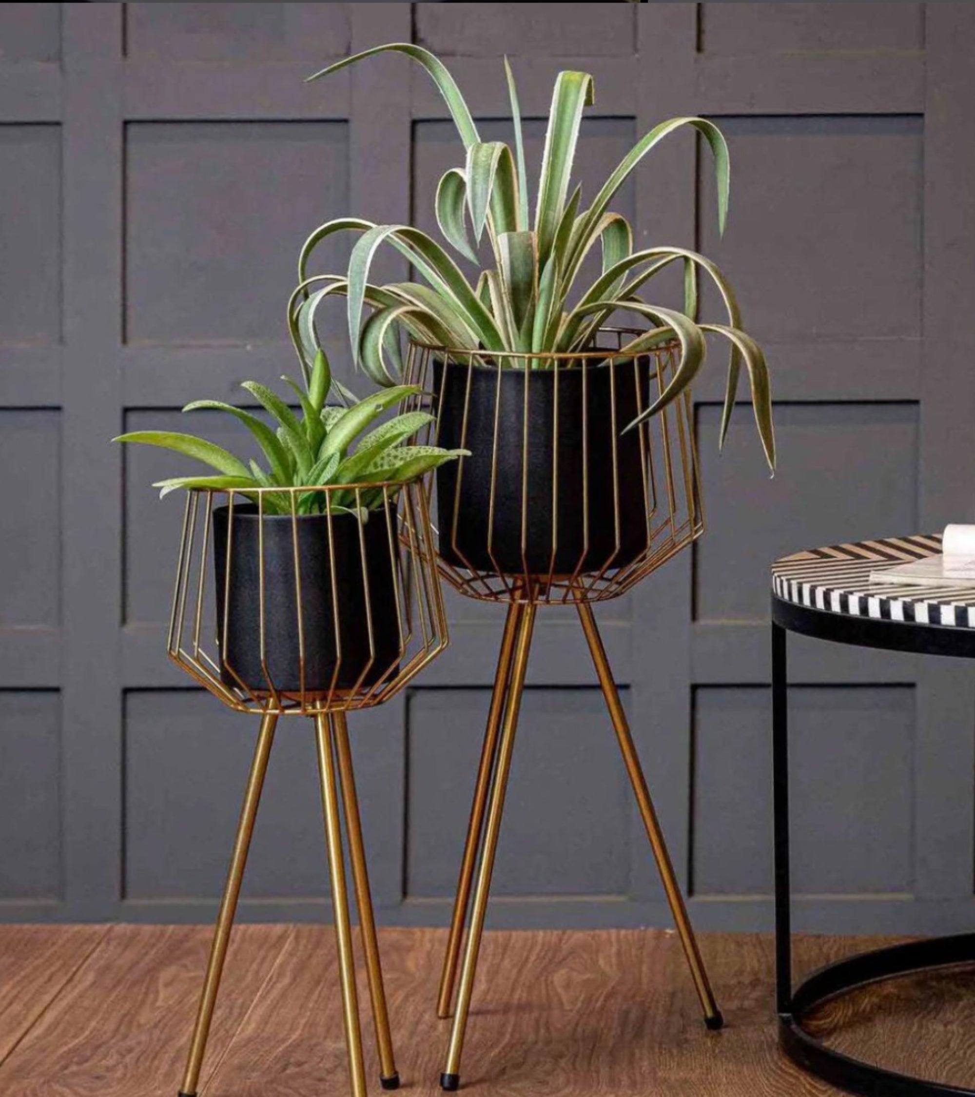 Premsons® Modern Tripod Metal Planter Stand Set of 2 – Black Pots with Golden Wire Frames (28 cm & 30 cm) – Indoor Decorative Plant Holders (Without Plants)