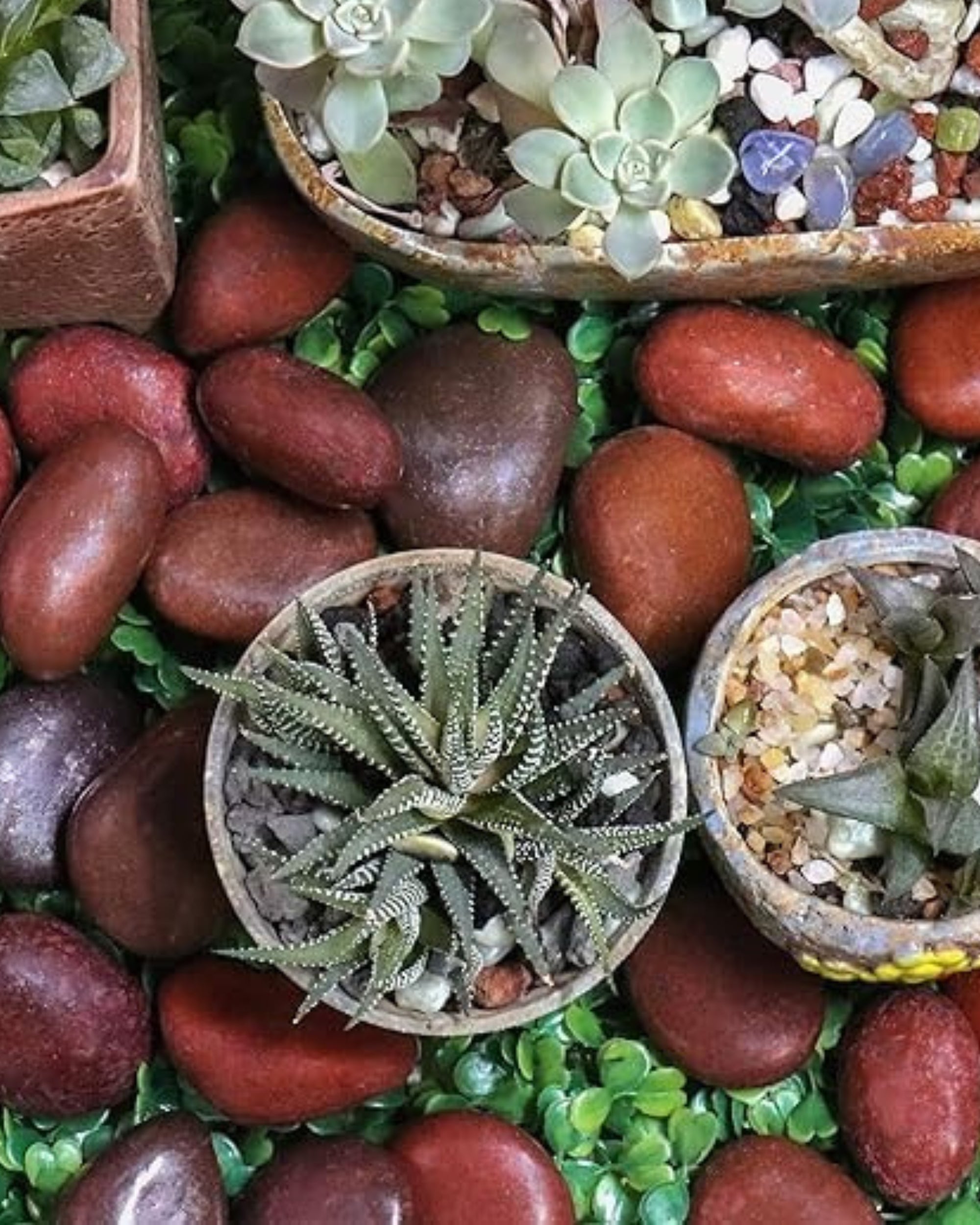 Premsons® Glossy Decorative Pebbles - Dark Brown Stones - For Aquariums Garden Lawn Plant Pots Vases Filler Home Office Decor Fish Tank - Smooth & Round River Rocks - Large Size 2.5-4 cm -1kg Pack
