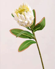 Premsons® High-Quality Faux Protea Flower Stem – Real Touch Artificial Floral Bunch for Vases, Home Decor & Centerpieces - White