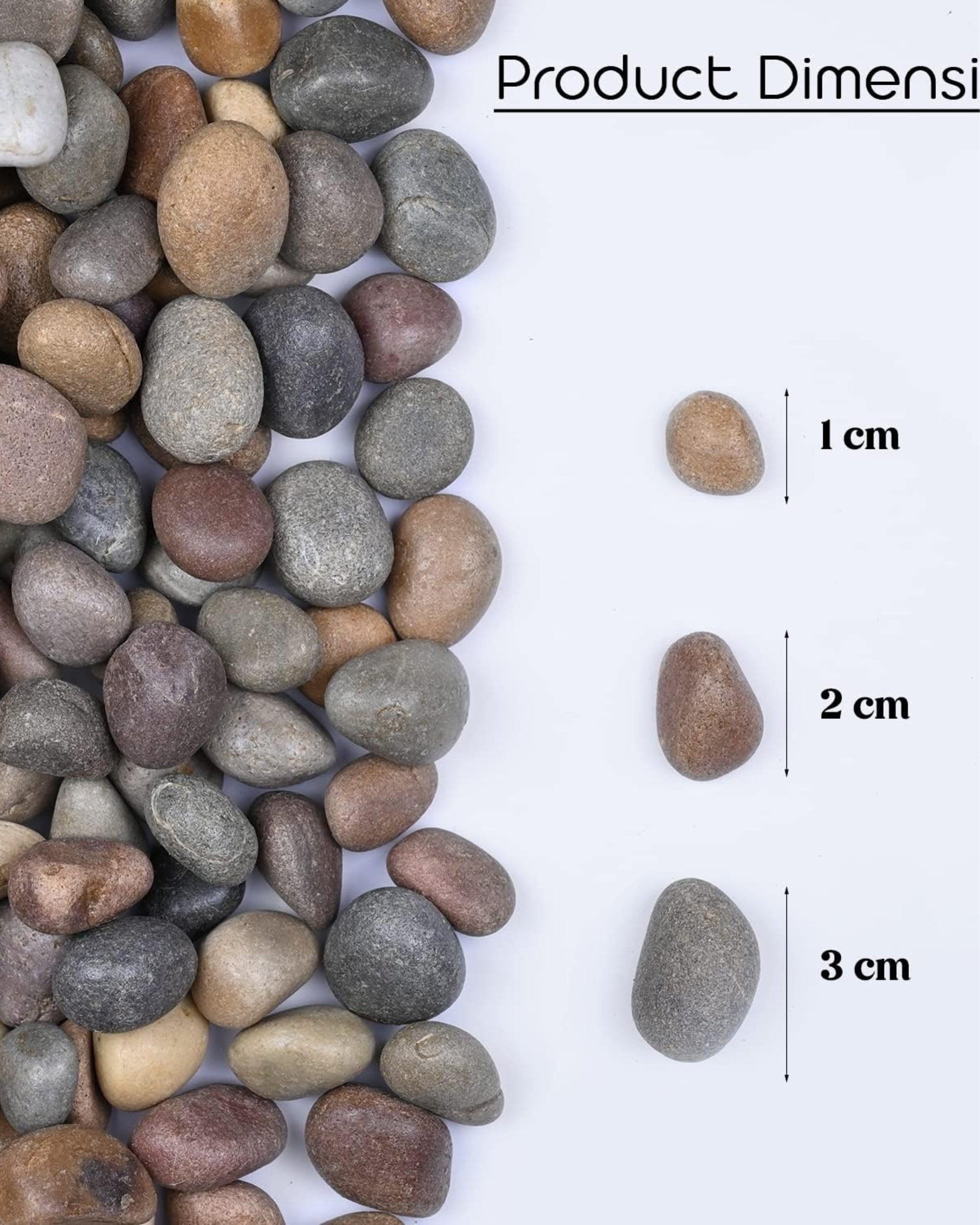 Premsons® Polished Decorative Pebbles - MultiColor Stones - For Aquariums Garden Lawn Plant Pots Vases Filler Home Decor Fish Tank - Smooth & Round River Rocks - X-Large Size 2.5-4 cm -1.5 kg Pack