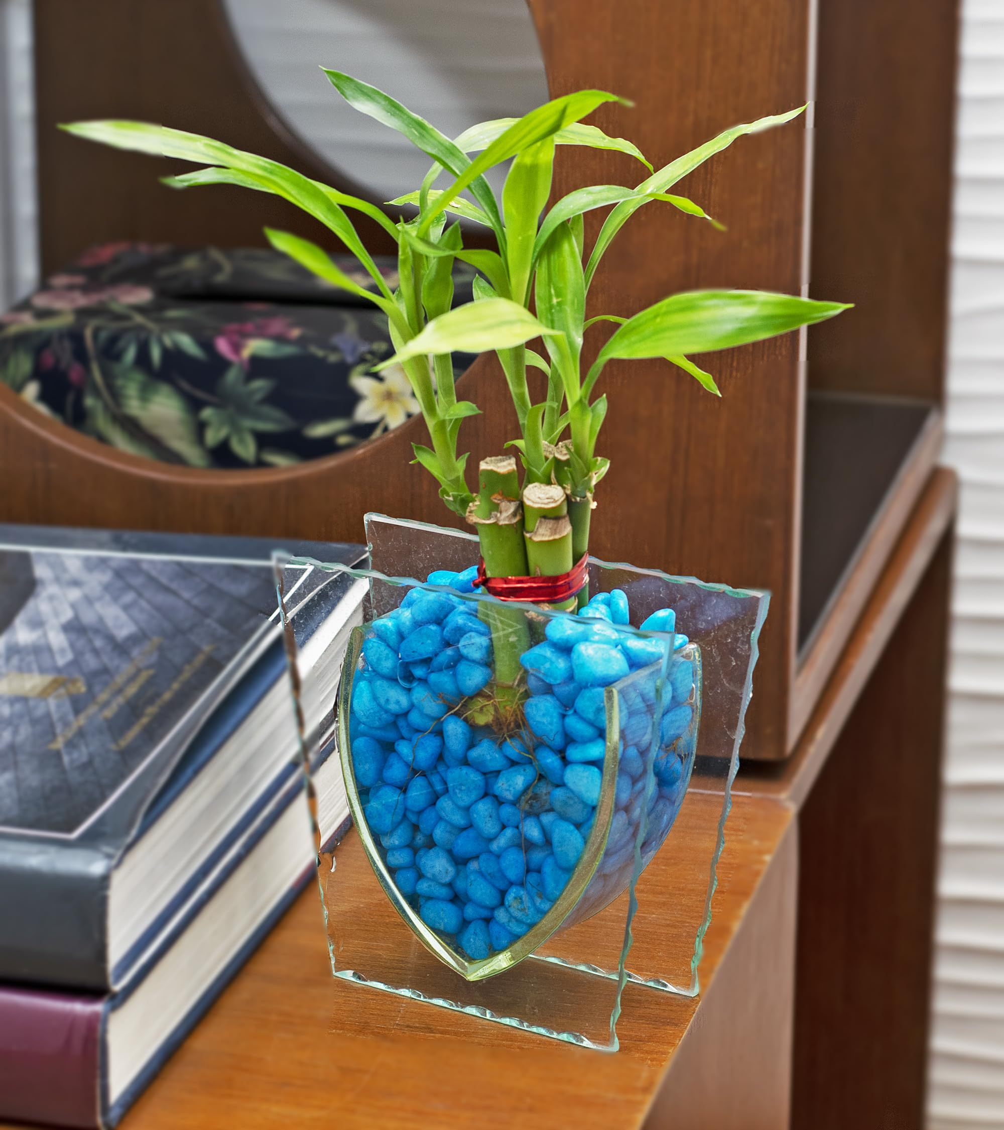 Premsons® Decorative Glass Vase for Flowers and Plants | Elegant Tabletop Home Décor for Living Room, Bedroom, and Office (Plants Not Included)
