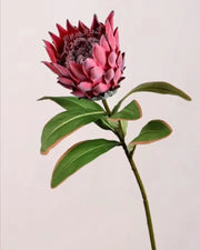 Premsons® High-Quality Faux Protea Flower Stem – Real Touch Artificial Floral Bunch for Vases, Home Decor & Centerpieces - Magenta