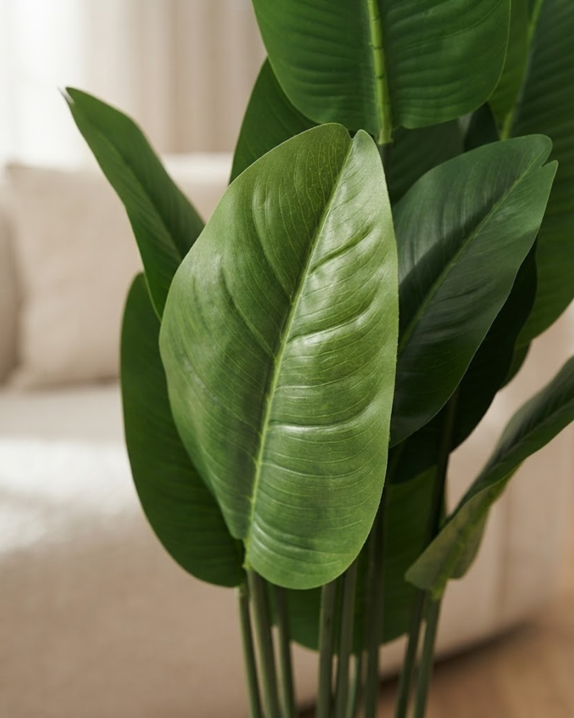 Artificial big-leaf plant close-up, textured green leaves with visible veins