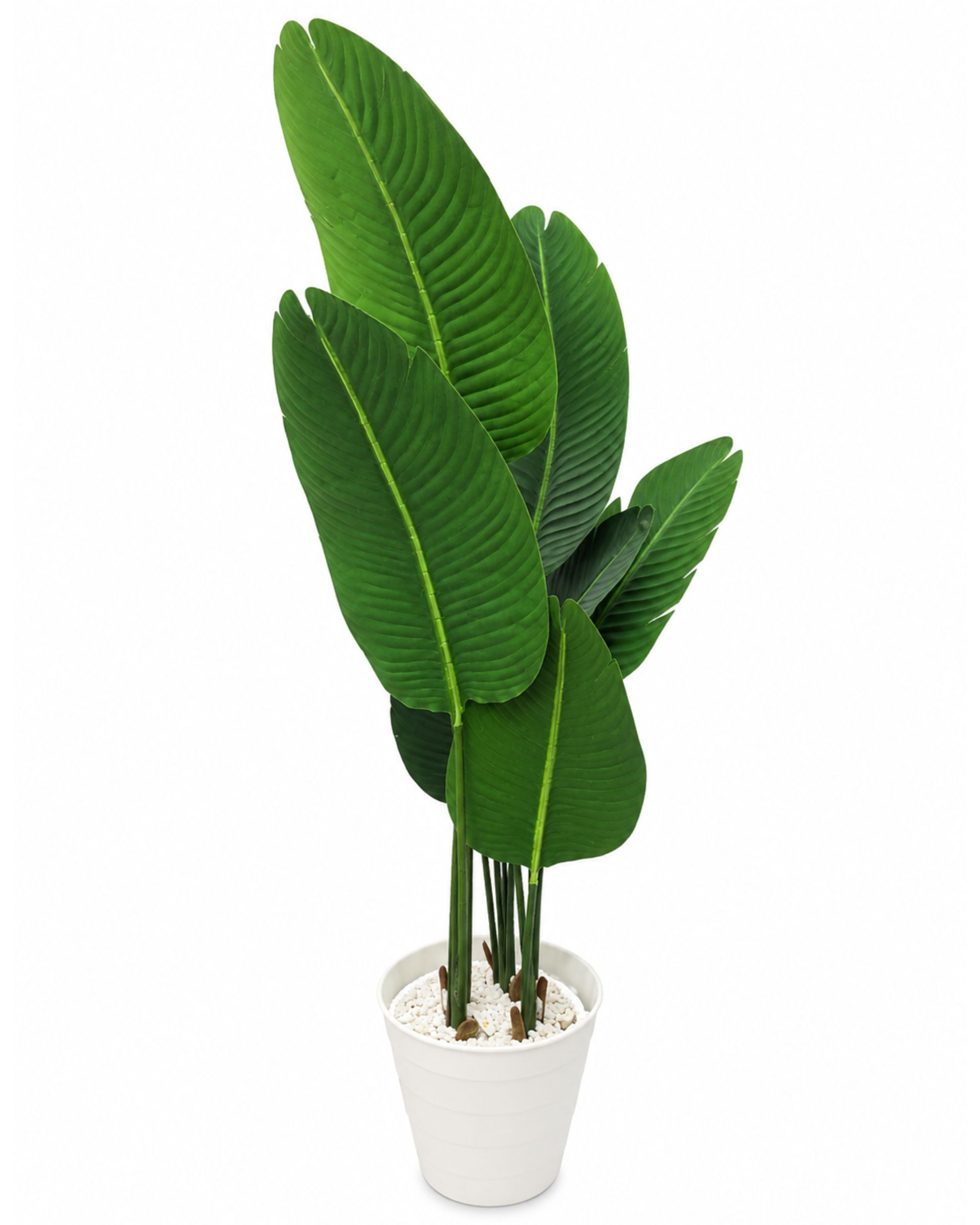 Artificial big-leaf plant in white pot, tall stems with broad green leaves