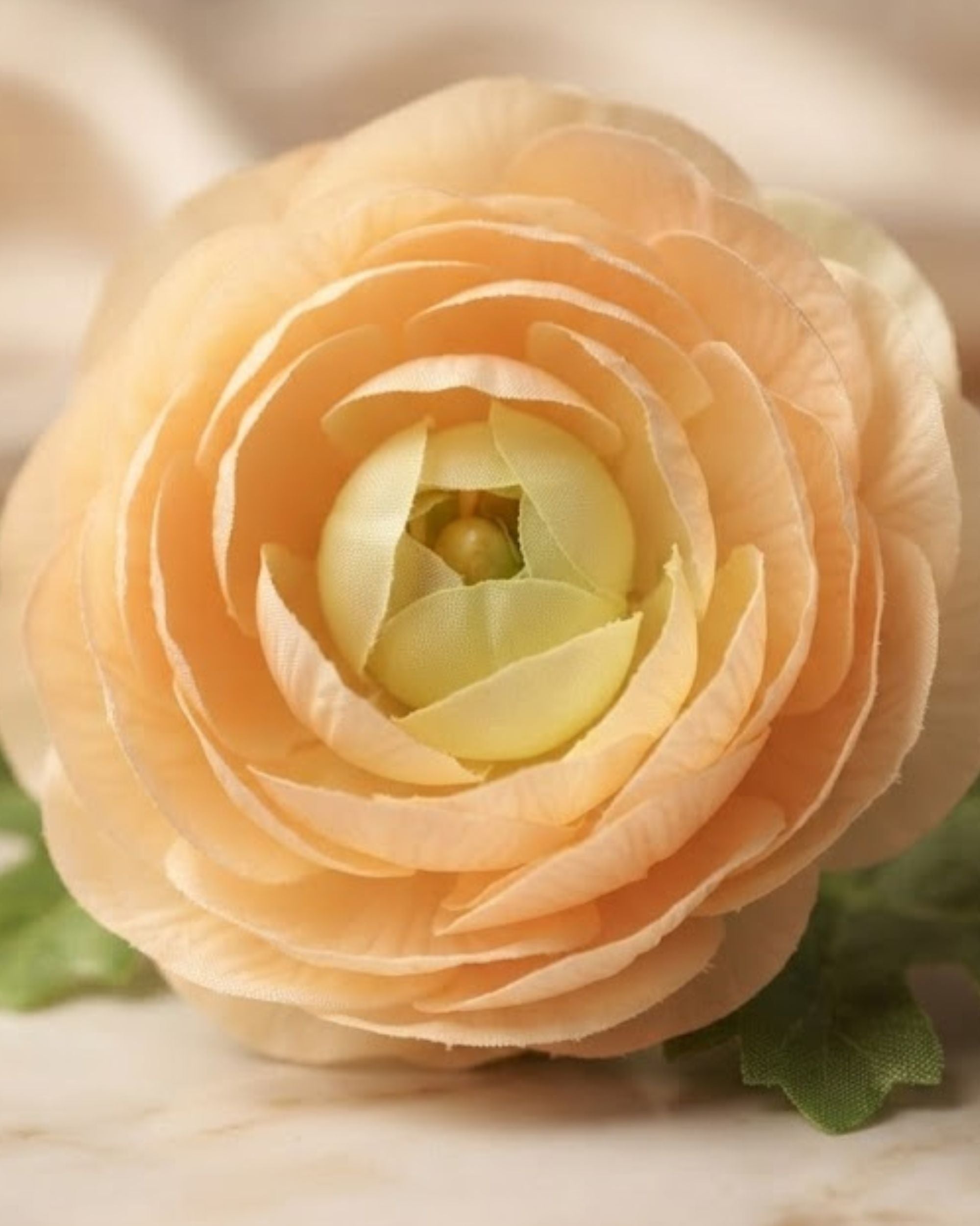 Premsons®Premium Artificial Floating Ranunculus Flowers for Urli Bowl Decoration – Realistic Blush Cream Faux Flowers for Diwali, Pooja, Weddings & Home Décor (Set of 4)