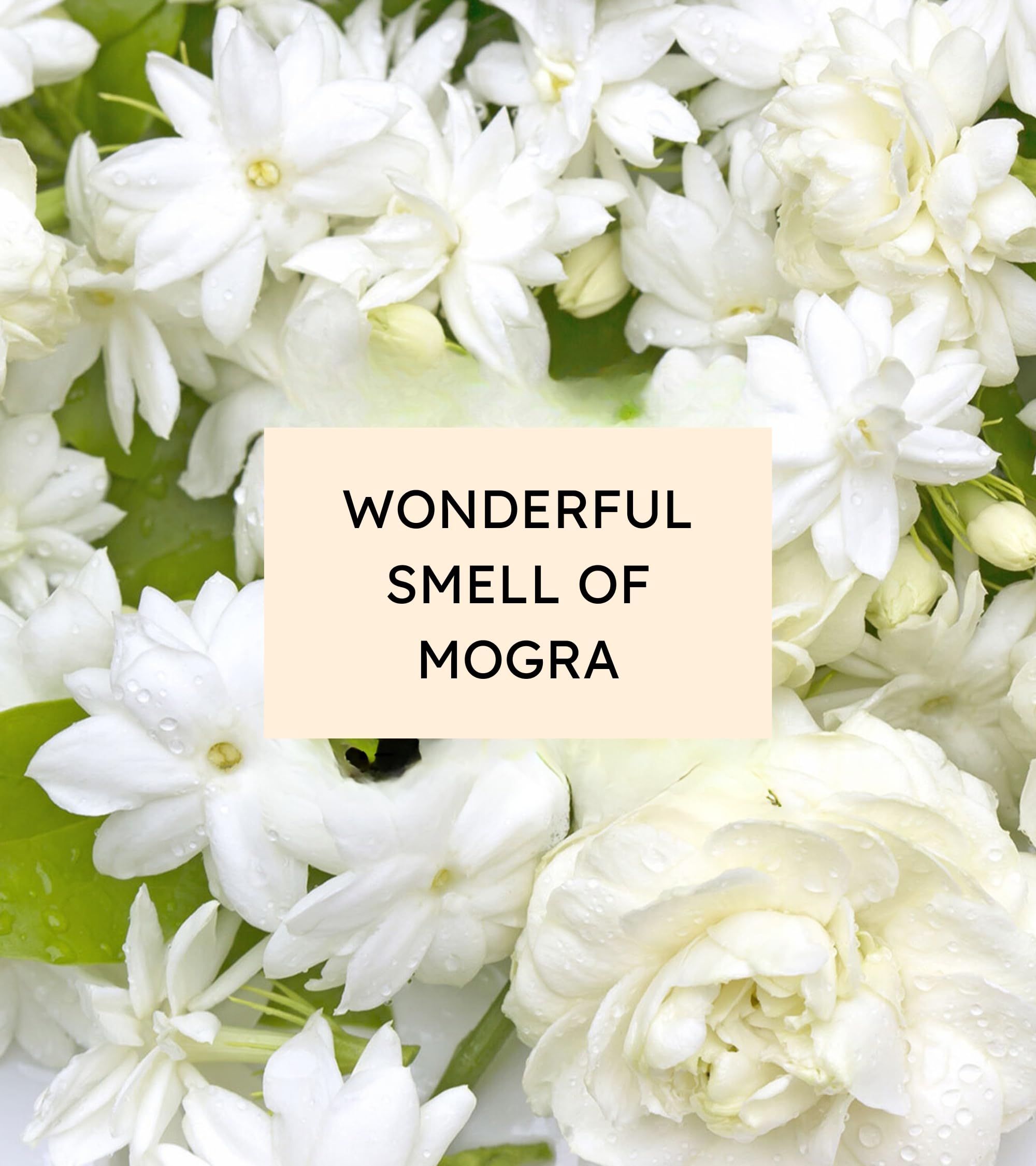 Eternia® Mogra Luxury Soap Bar – Gentle, Hydrating & Refreshing Daily Face & Body Care