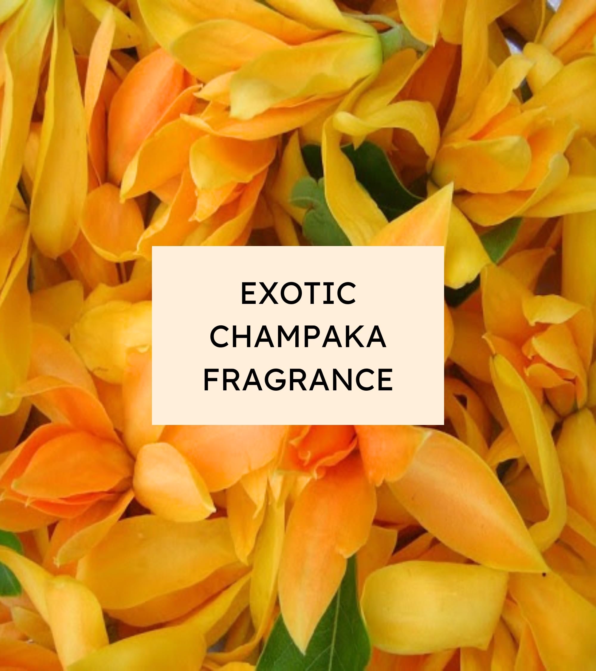 Eternia® Champaka Luxury Soap Bar – Gentle, Hydrating & Refreshing Daily Face & Body Care