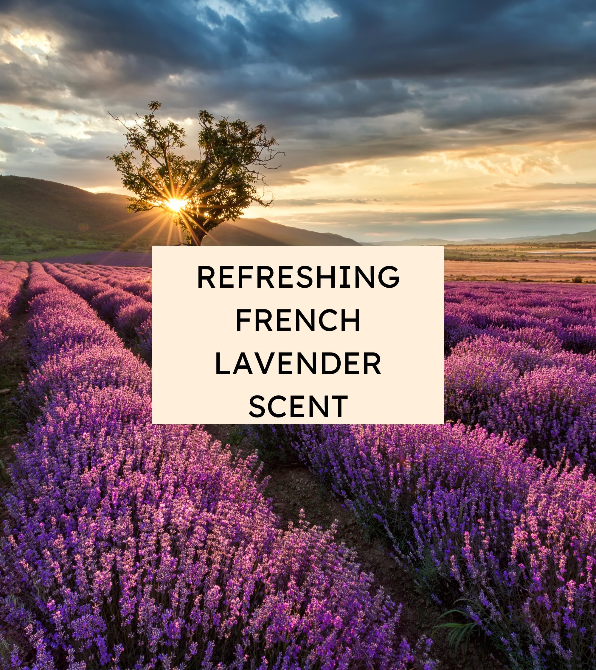 Eternia® Lavender Luxury Soap Bar – Gentle, Hydrating & Refreshing Daily Face & Body Care
