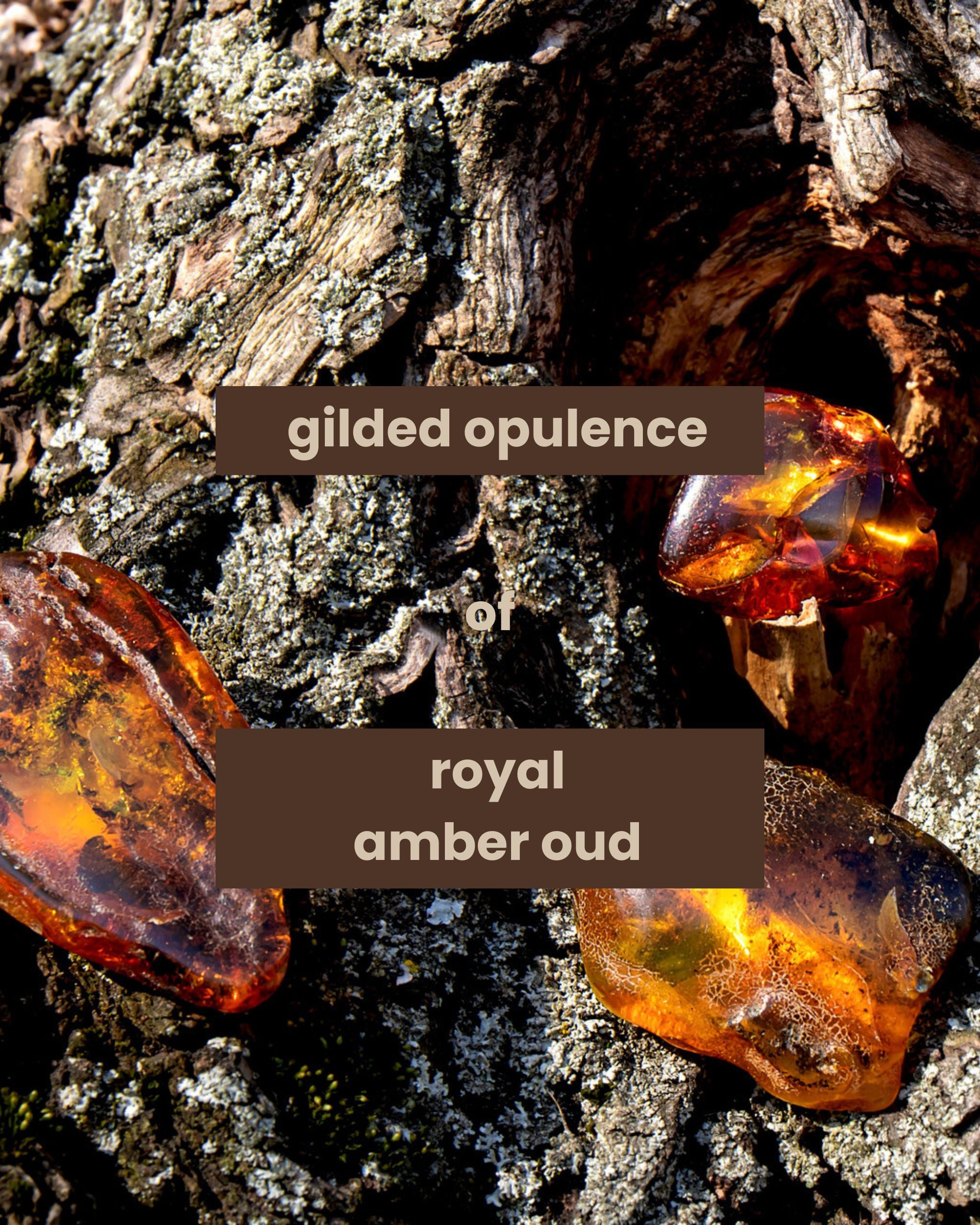 Eternia® Royal Amber Oud Bath & Shower Gel - Sulphate Free & Cruelty-Free Daily Hydrating Cleanser - 500ml