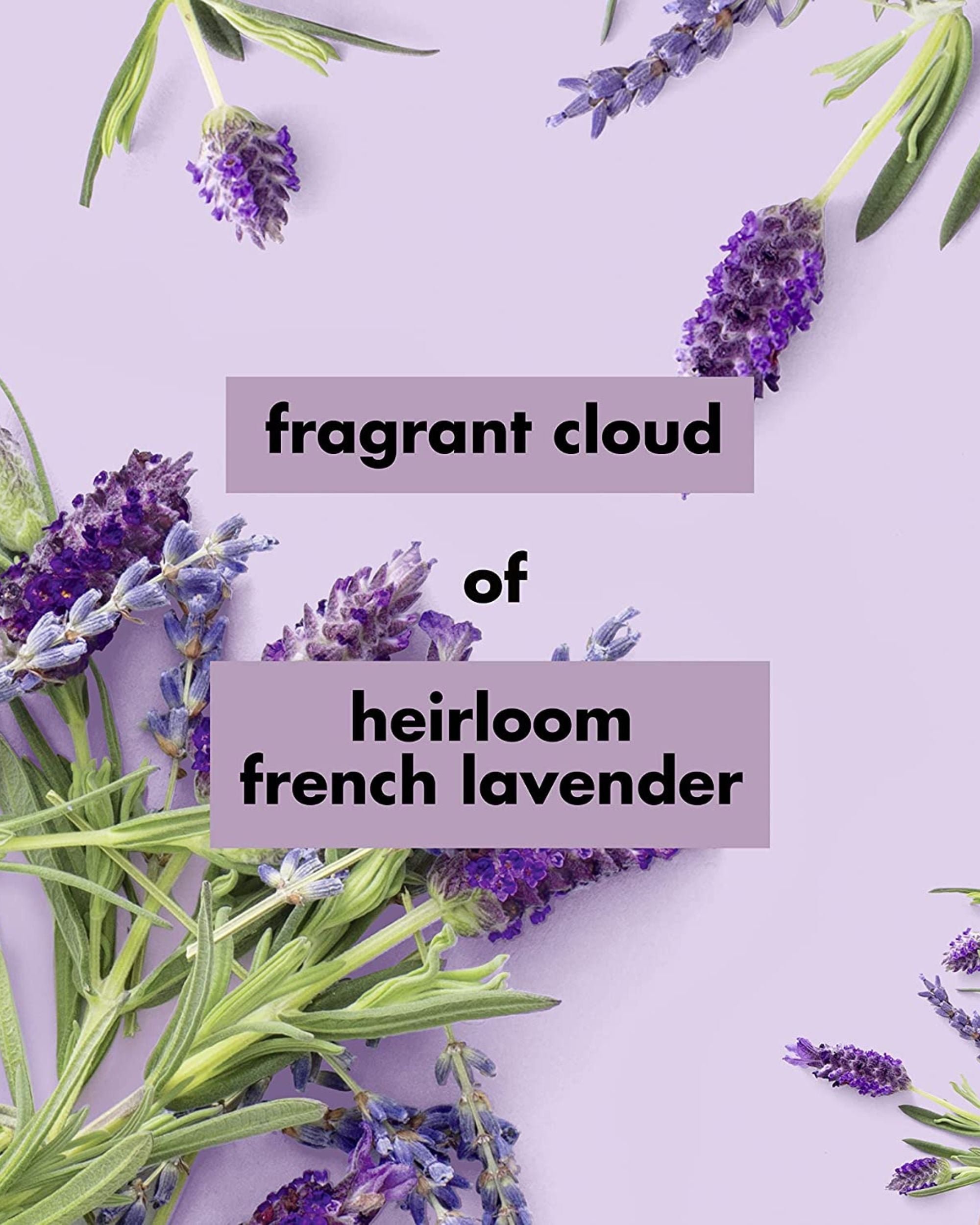Eternia® French Lavender Hand & Body Lotion - Vegan & Cruelty-Free Daily Moisturizer - 500ml