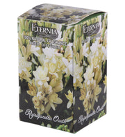 Eternia® Rajnigandha Reed Diffuser with Rattan Reed Sticks – Slow Release Subtle Long-Lasting Home Fragrance