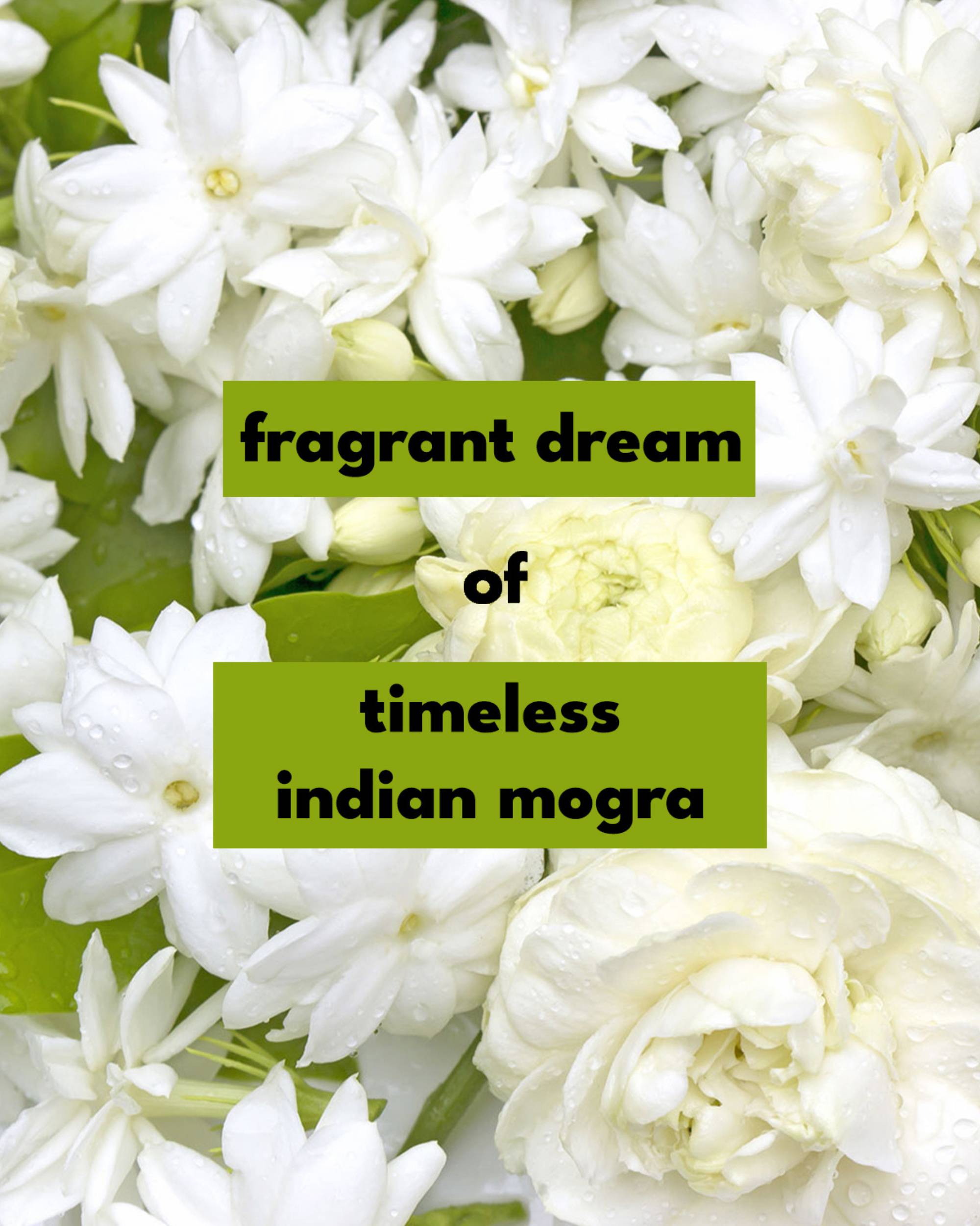 Eternia® Indian Mogra Hand & Body Lotion - Vegan & Cruelty-Free Daily Moisturizer - 500ml