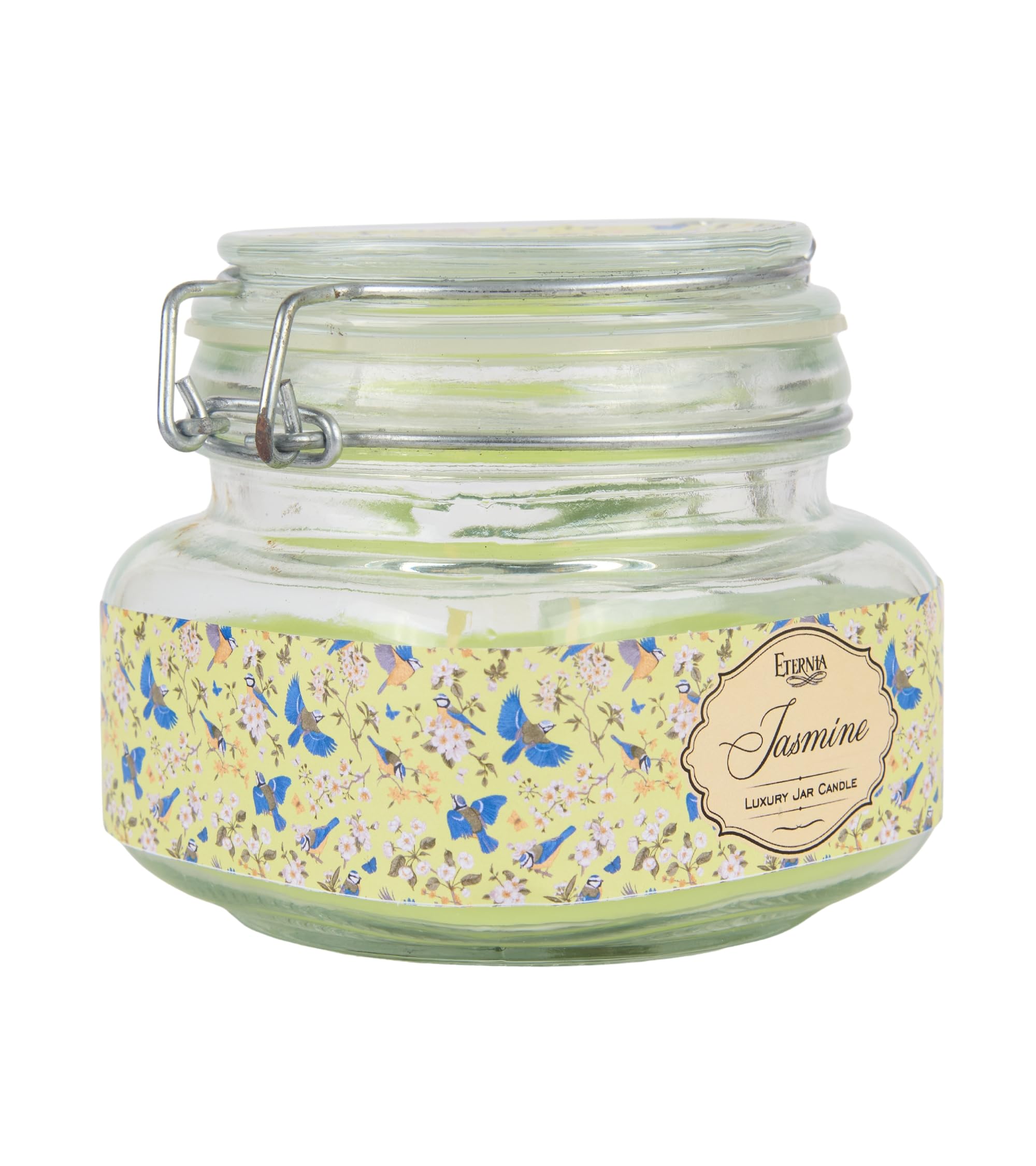Eternia® Jasmine Scented Double Wick Jar Candle – Floral Aroma for Serenity & Romance – Elegant Glass Jar Candle – 28 Hours Burn Time