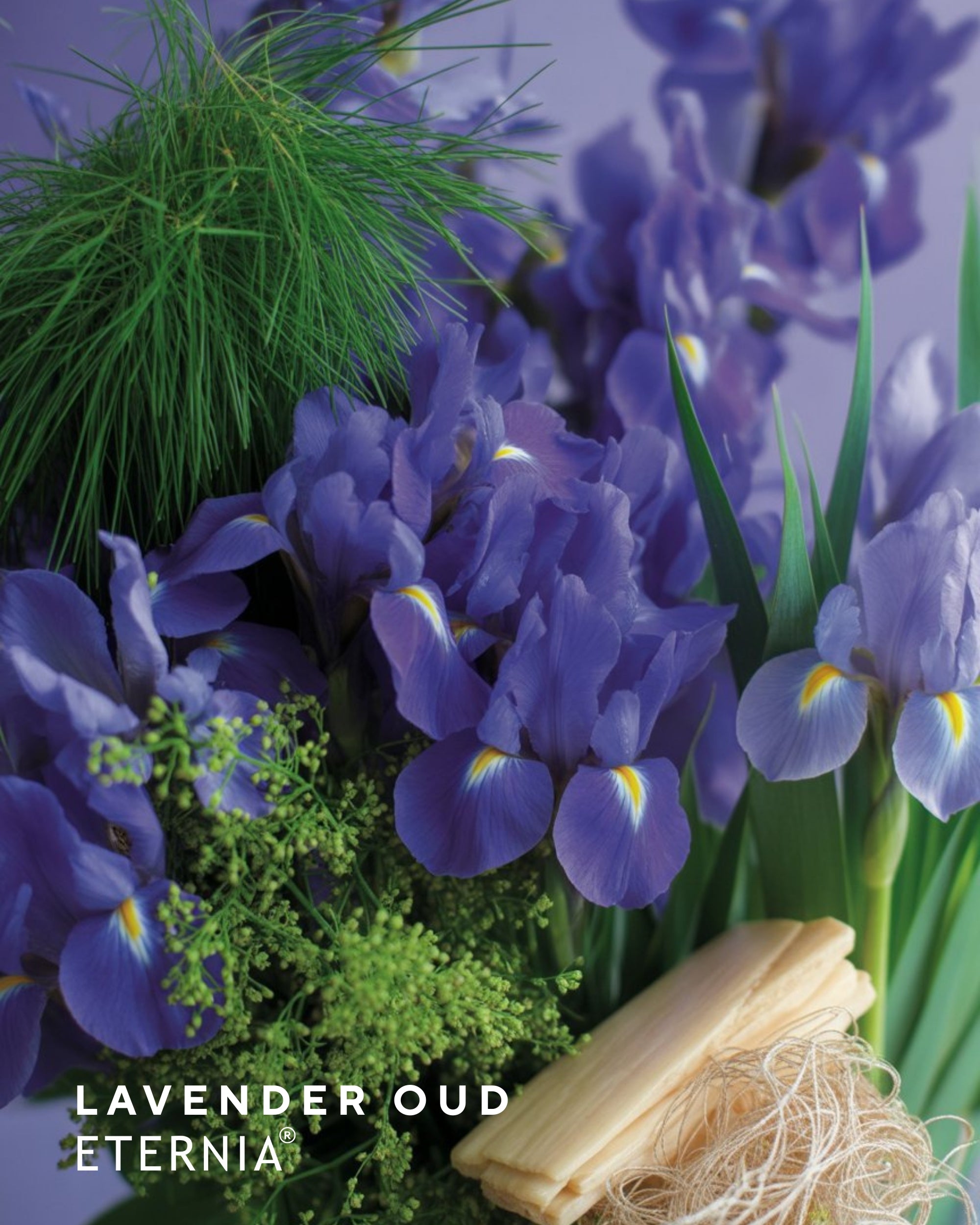 Eternia® Lavender Oud Perfume Mist Spray | Long-Lasting Fresh Fragrance | Luxury Daily Wear Body Mist