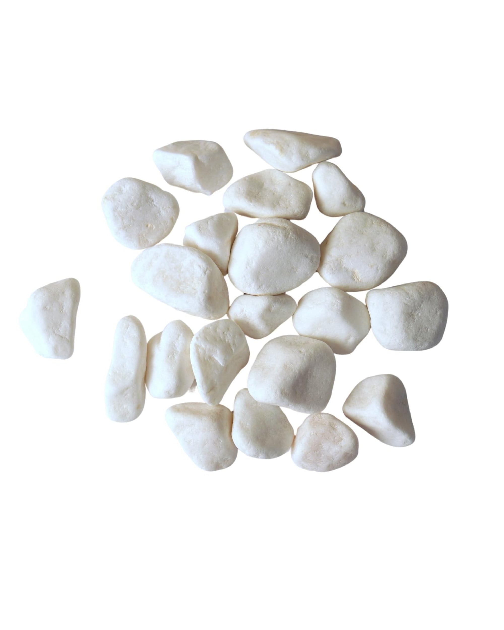 Premsons® Rough Decorative Pebbles - White Stones - For Aquariums Garden Lawn Plant Pots Vases Filler Home Office Decor Fish Tank - Smooth & Round River Rocks - Large Size 2.5-4 cm - 1.5 kg Pack