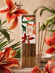 Pack of red sandalwood incense sticks with botanical paper sleeve