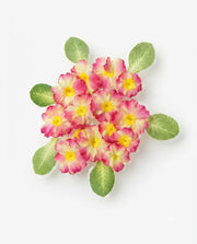 Premsons® Cosmos Floating Flowers - Decorative Artificial Flowers for Home, Fountain, Pond, Pool, Bowl & Water Decor - Pink - Pack of 15 Pieces