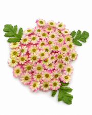 Premsons® Premium Artificial Floating Daisy Flower for Festivals, Weddings & Home Decoration