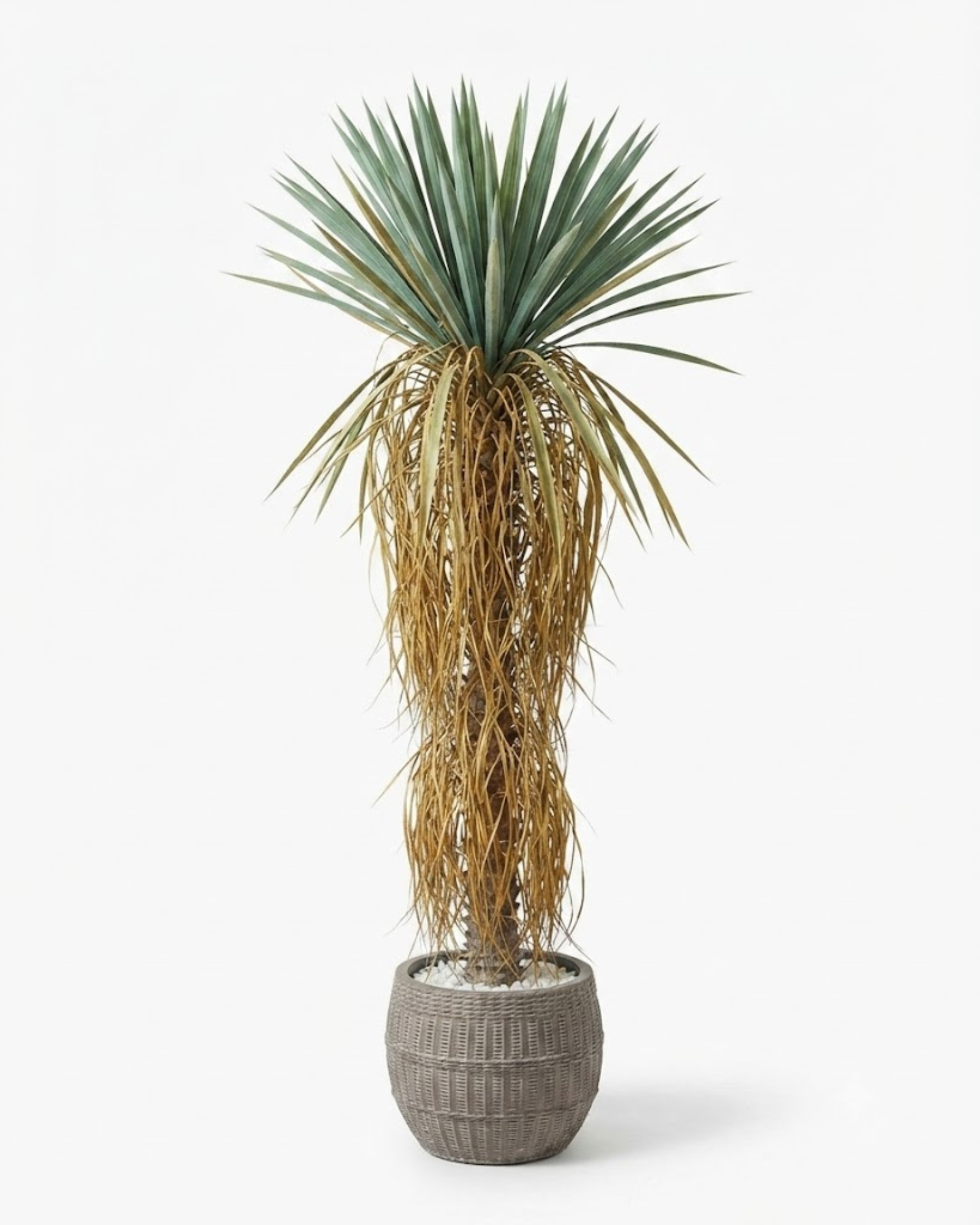 Premsons® Big Lush Artificial Plant